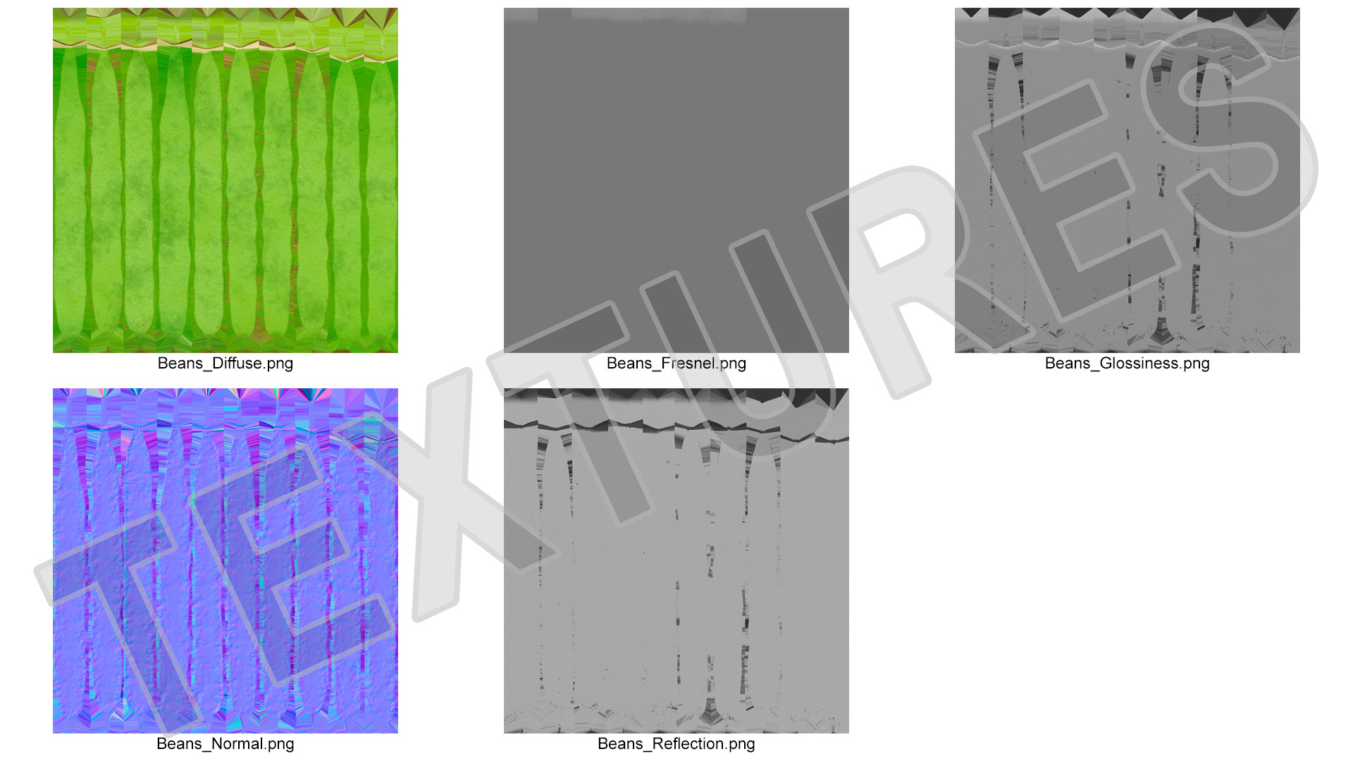 3D Green French Beans model