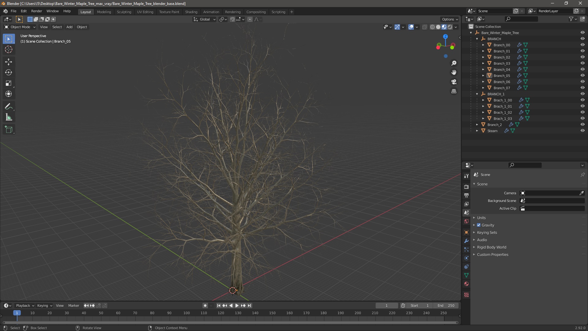 Bare Winter Maple Tree 3D
