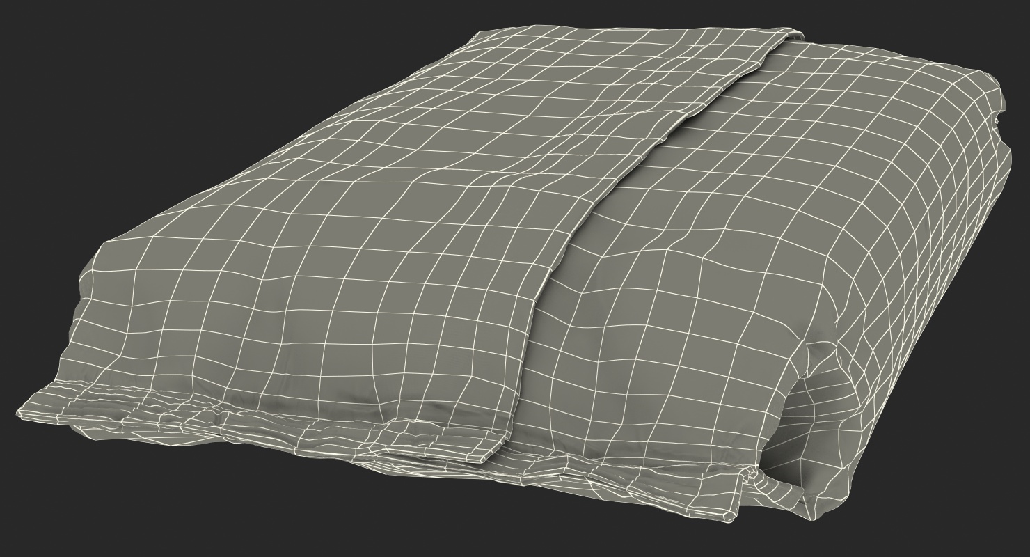 Baby Wet Wipes 3D model