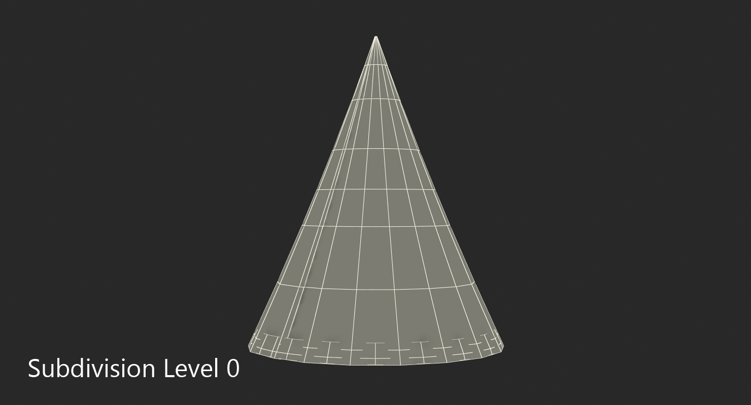 Party Hat with Metallic Tinsel Around 3D