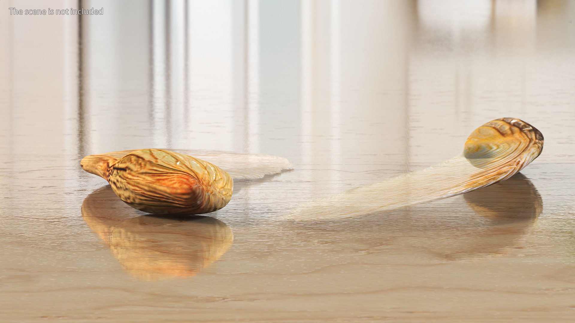 3D model Dry Maple Seeds