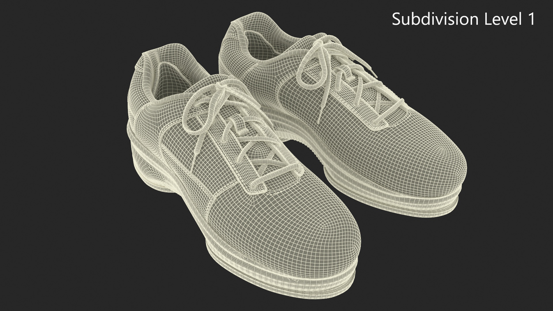 Curling Shoes Fur 3D