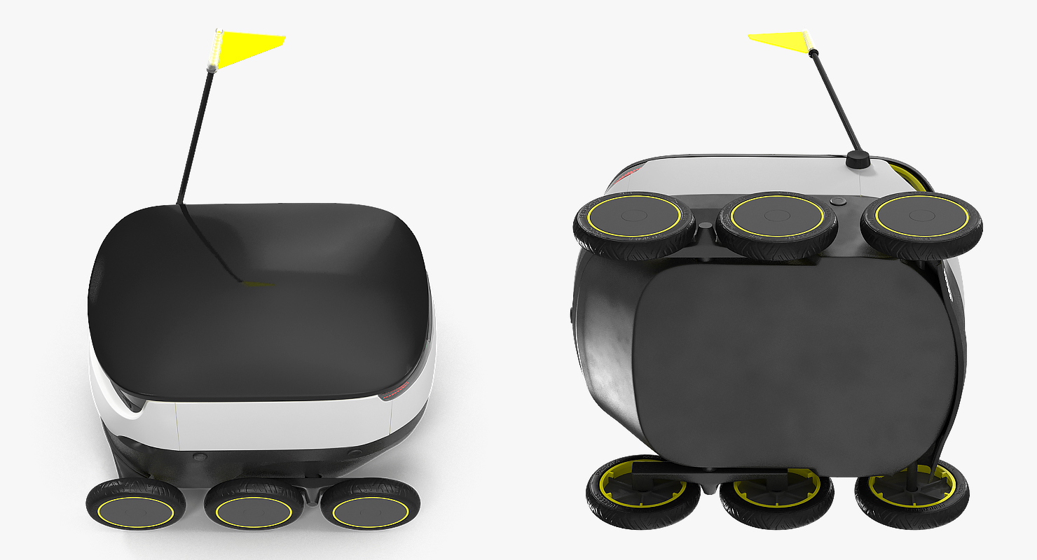 Self-Driving Robot Delivery Rigged 3D model