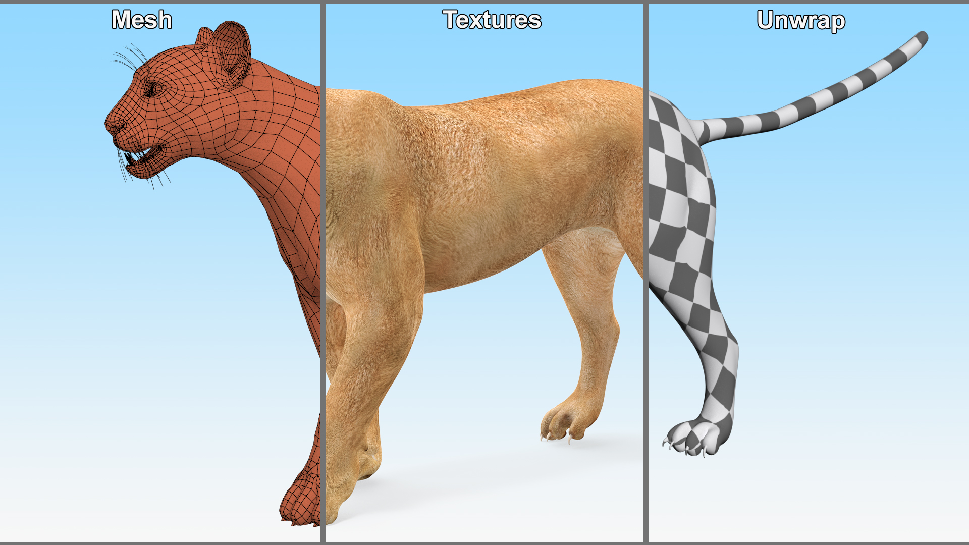 3D Puma Rigged