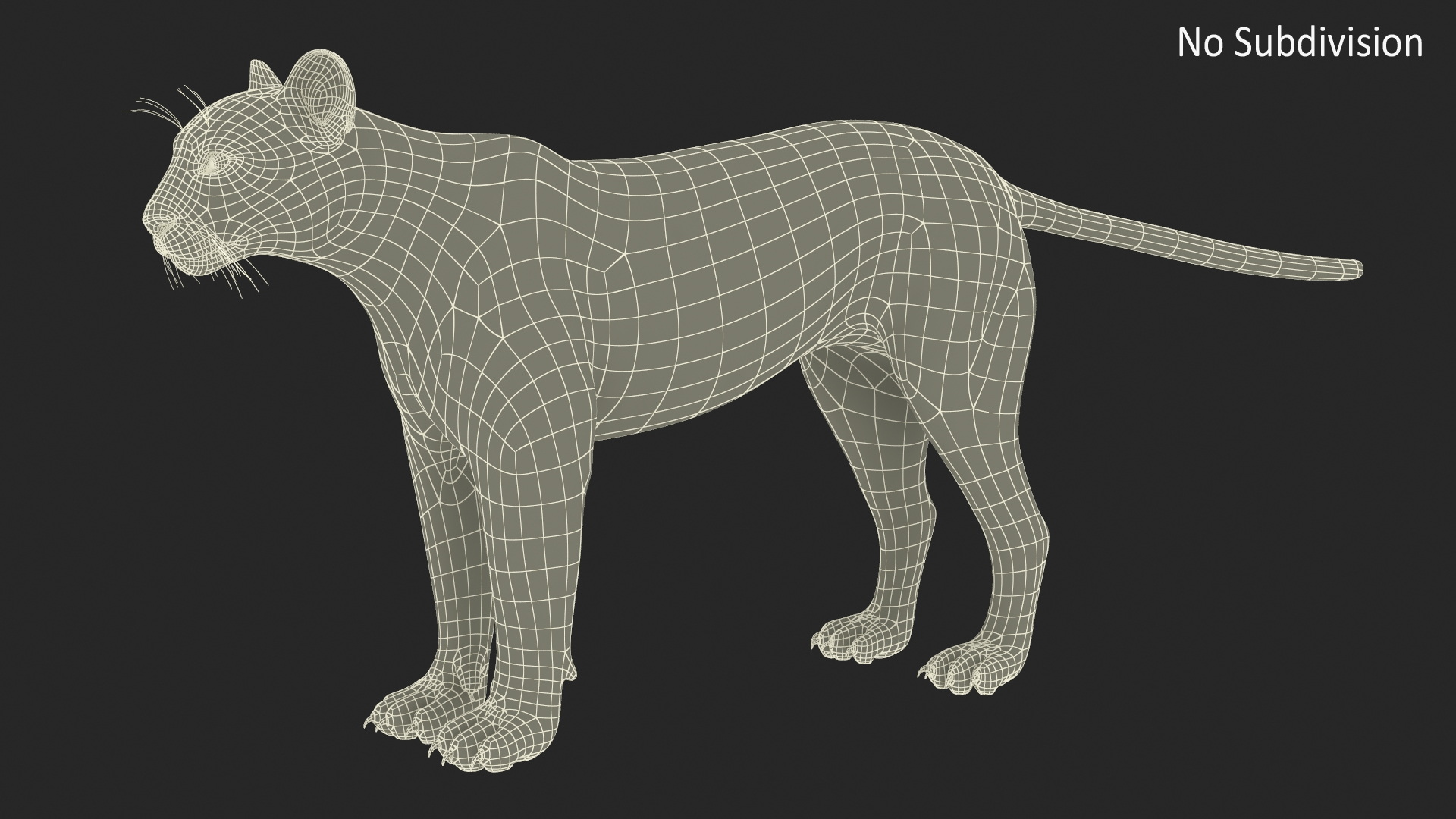 3D Puma Rigged