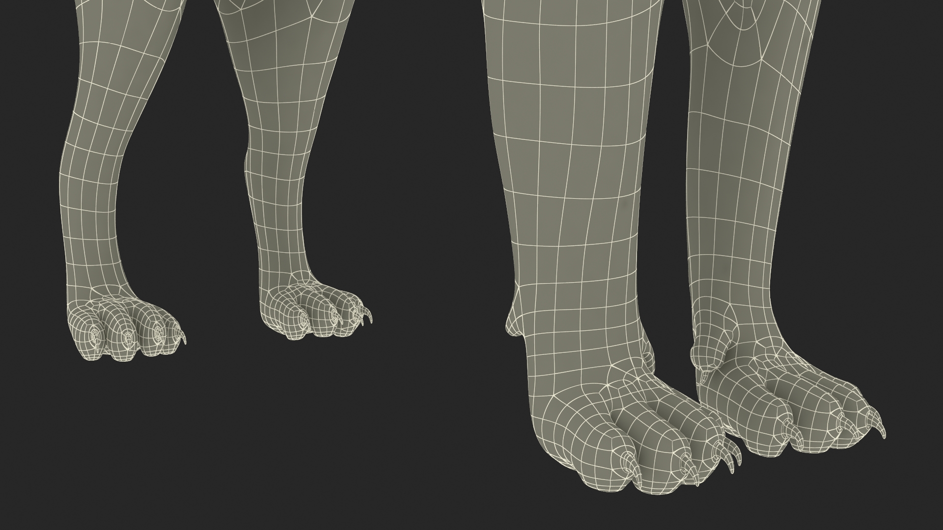 3D Puma Rigged