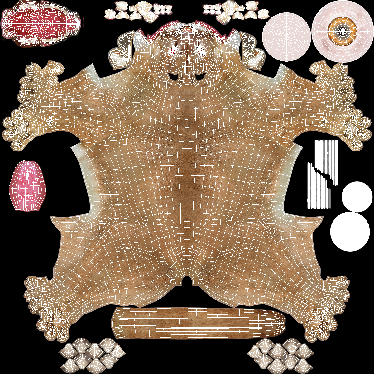 3D Puma Rigged