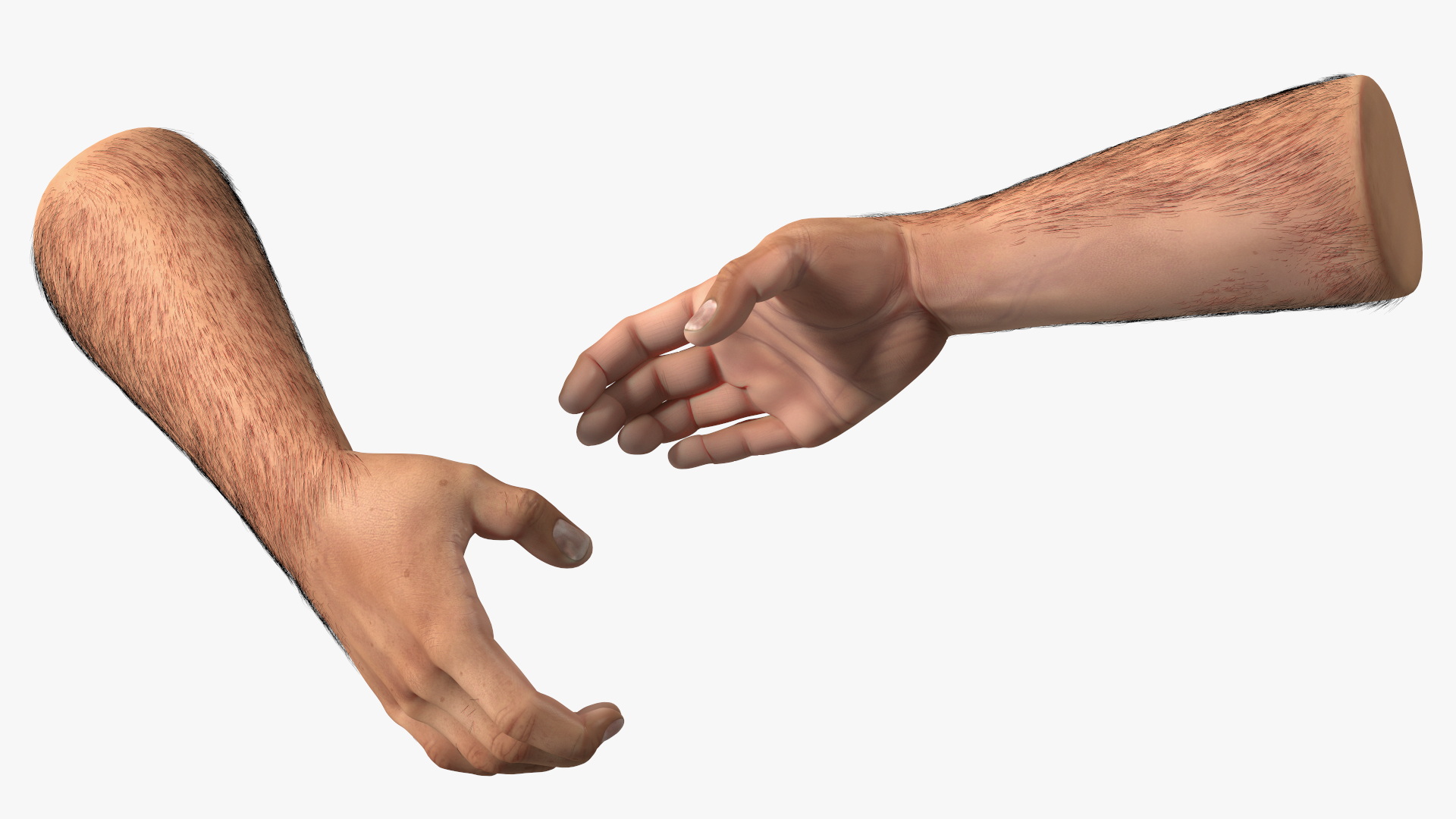 3D Handshake Man Hands with Fur model