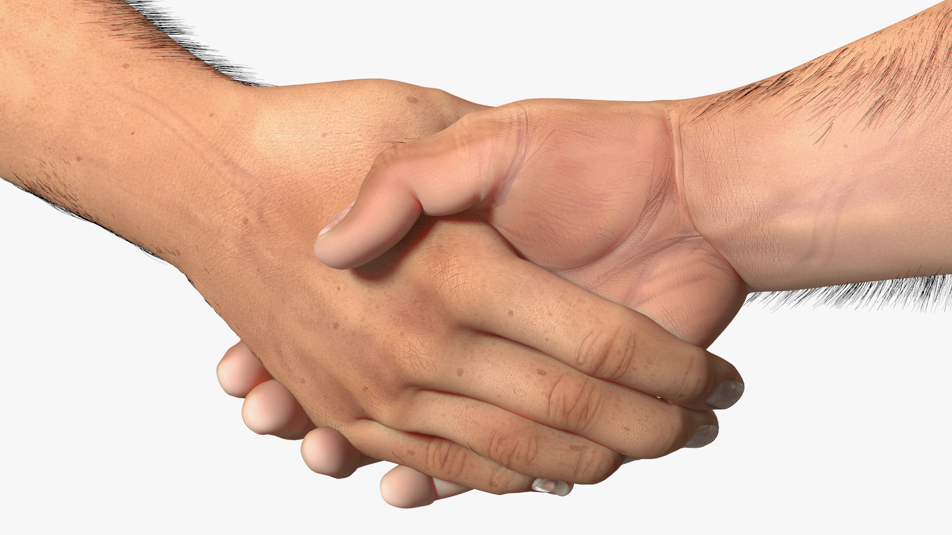 3D Handshake Man Hands with Fur model