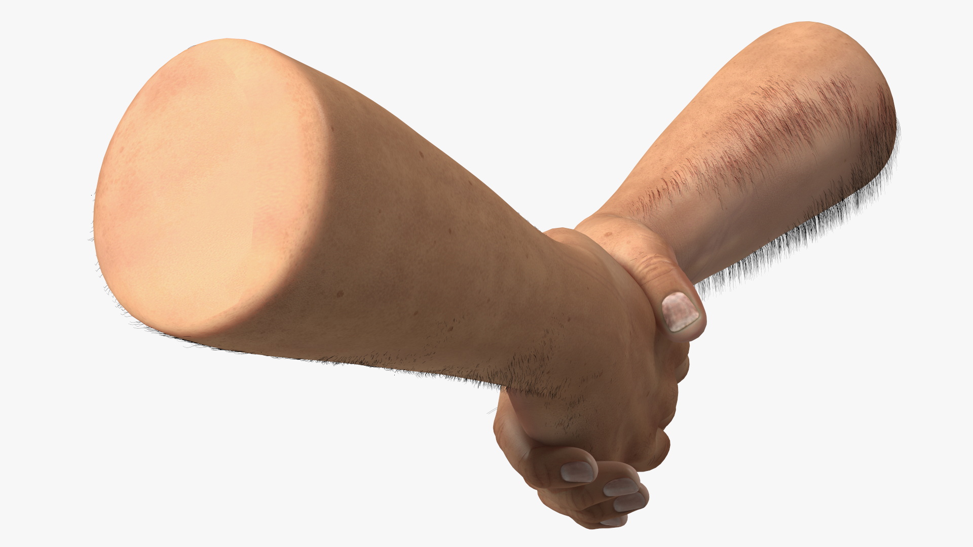 3D Handshake Man Hands with Fur model
