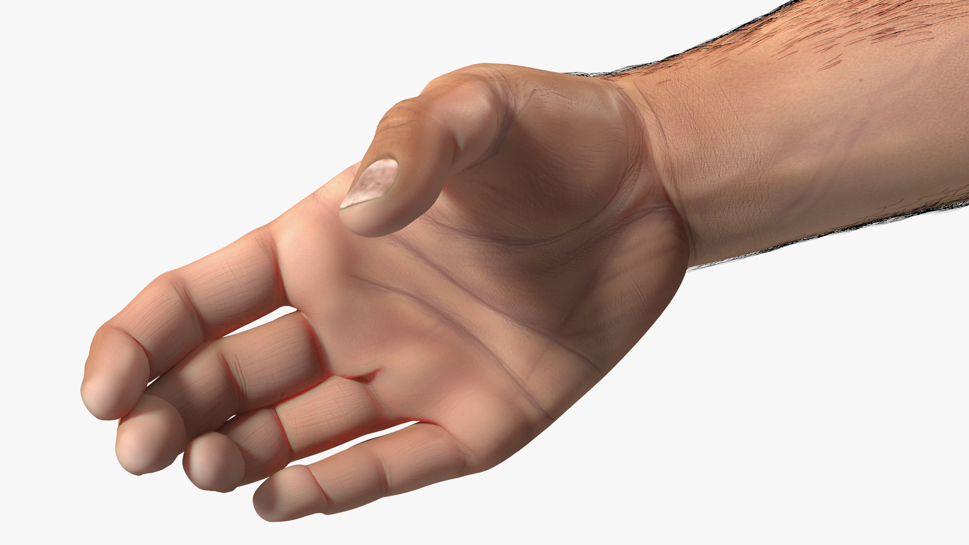 3D Handshake Man Hands with Fur model