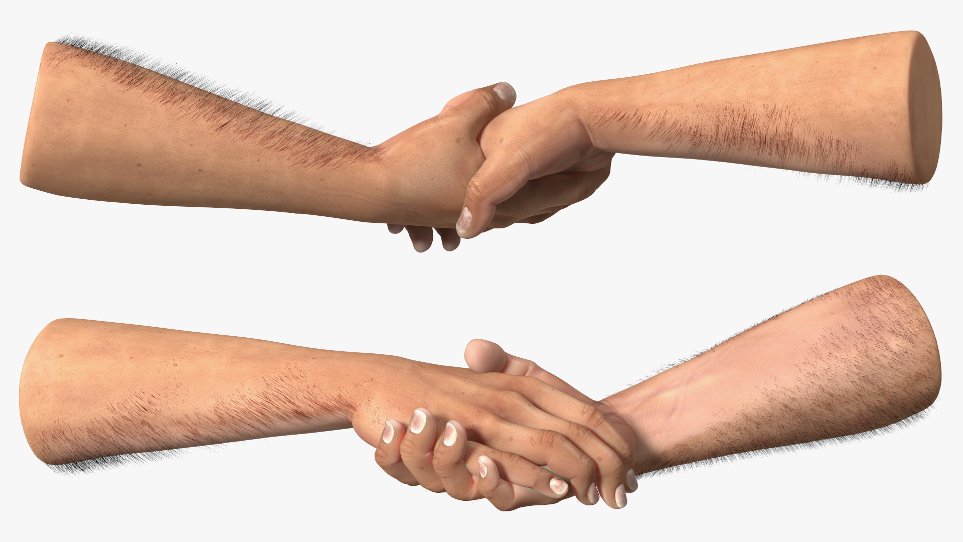 3D Handshake Man Hands with Fur model