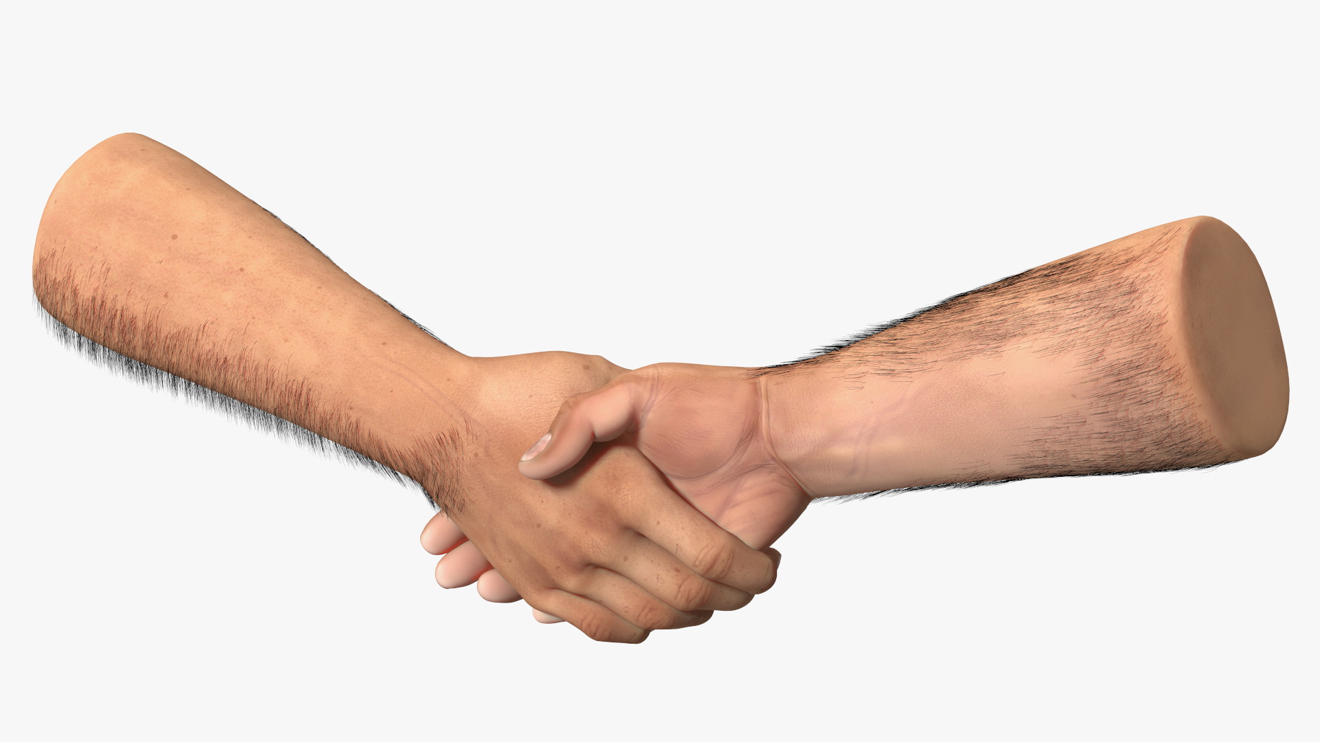 3D Handshake Man Hands with Fur model