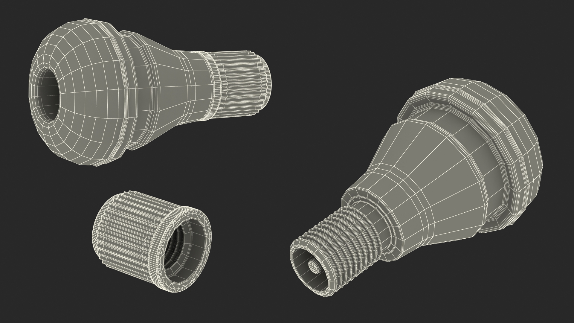 Schrader Valve 3D model