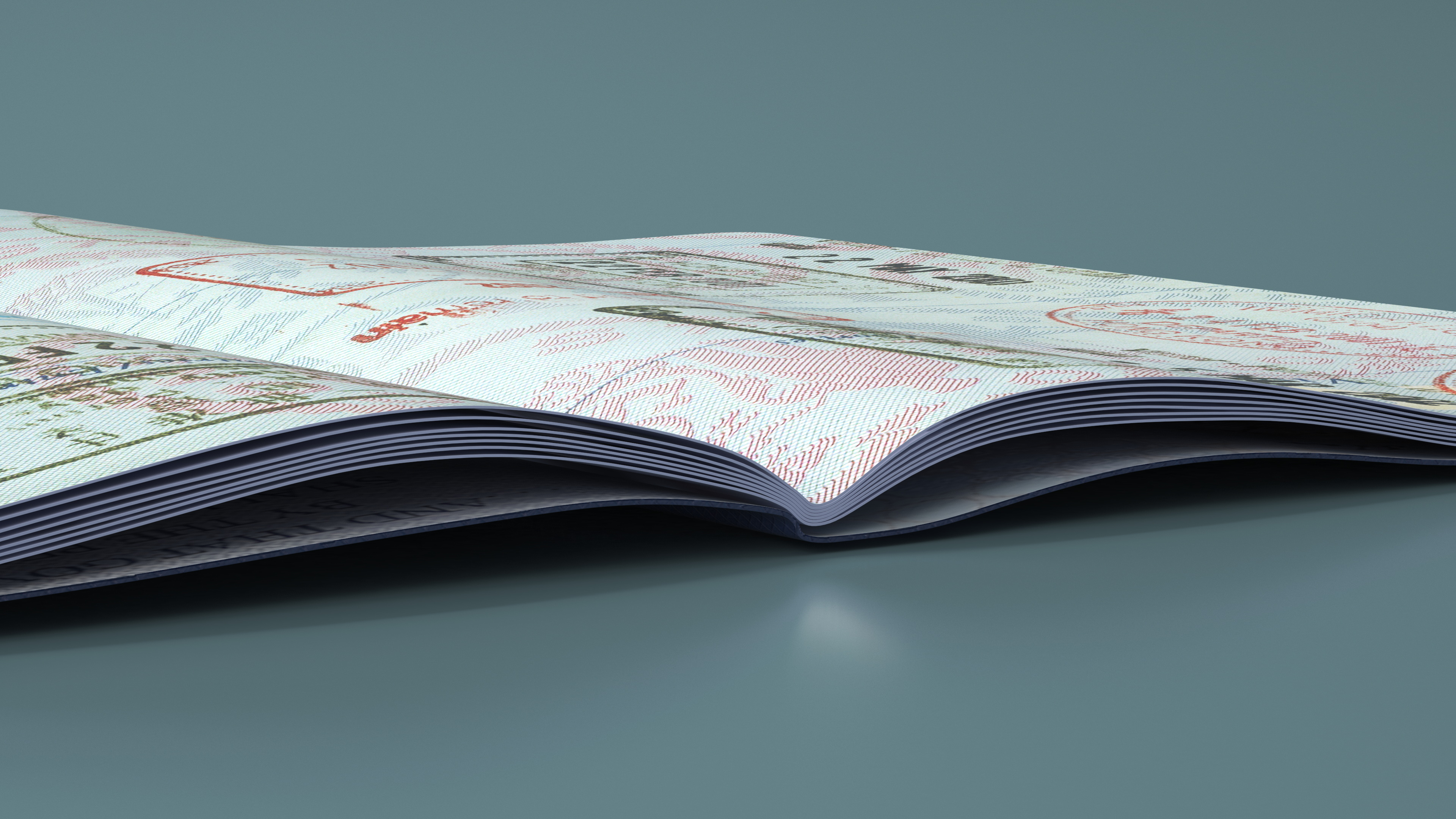 3D Passport of US with Travel Stamps model