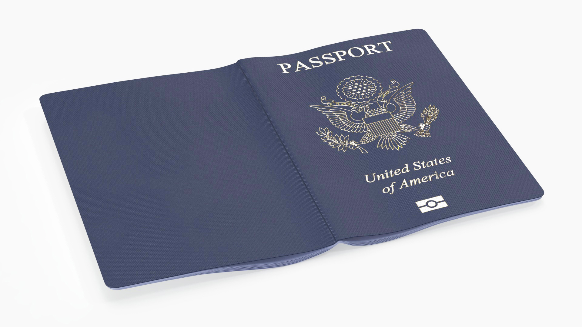 3D Passport of US with Travel Stamps model