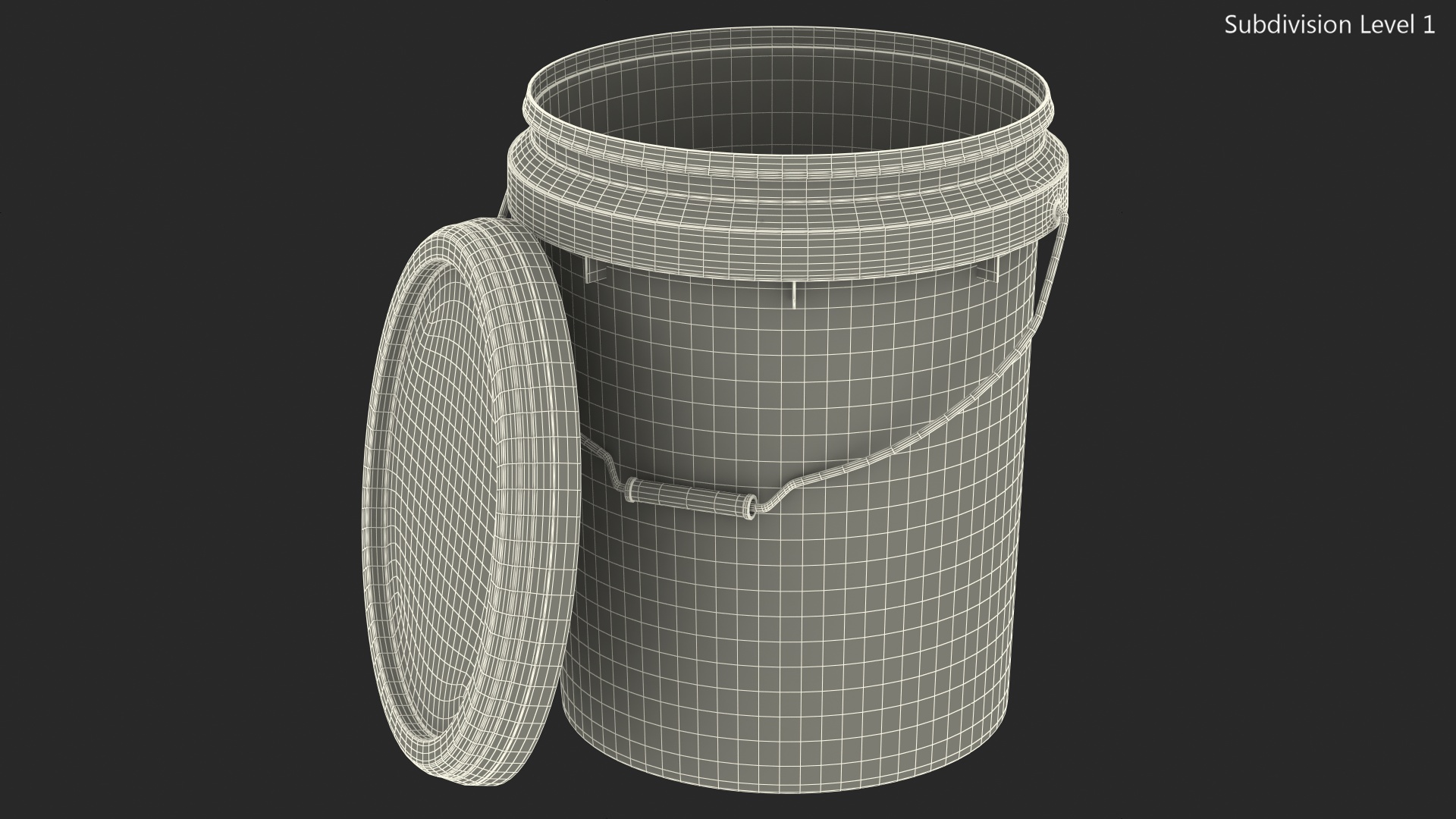 3D Plastic Bucket 20L with Lid and Handle model