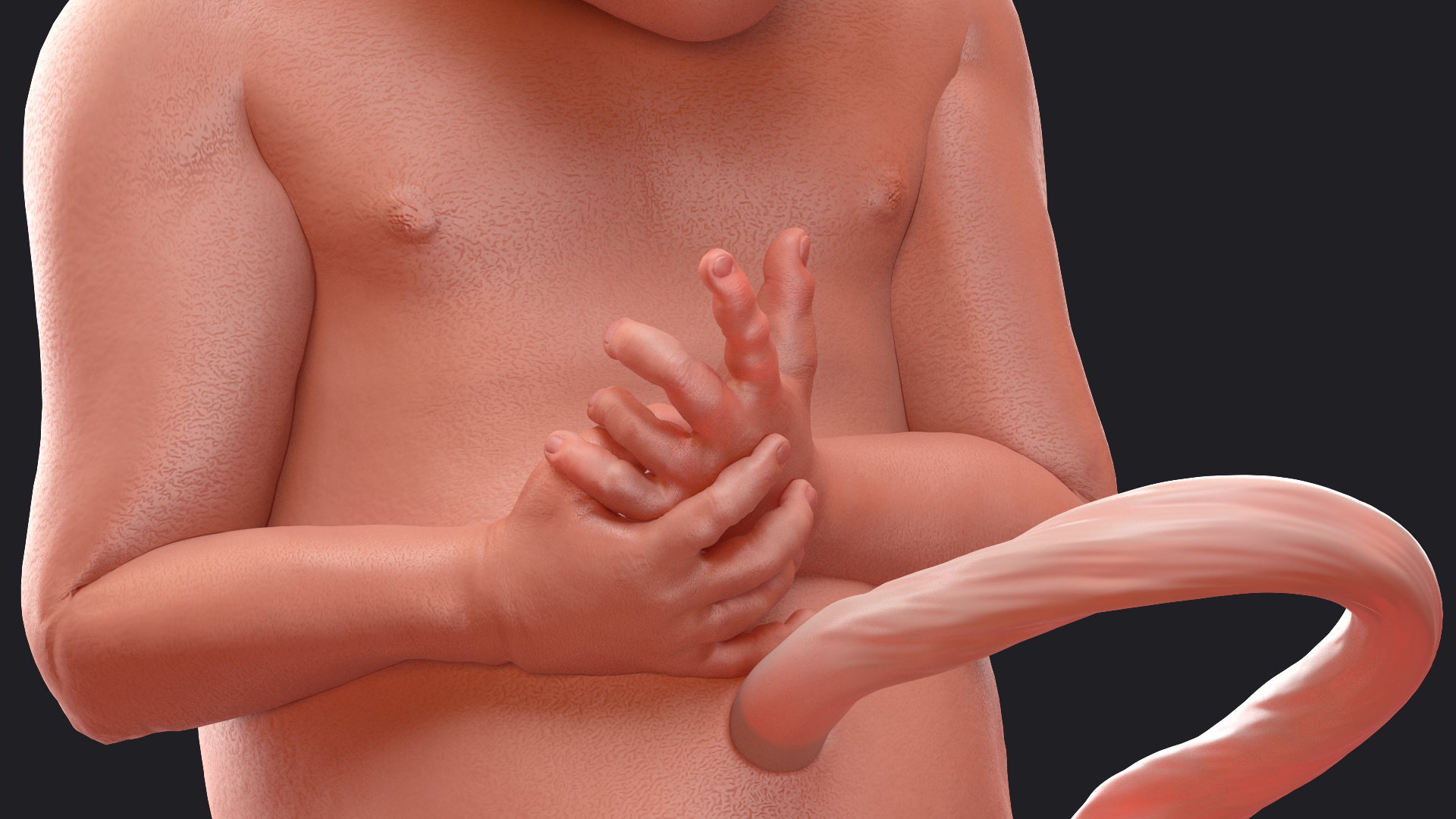 Baby Boy at 28 Weeks Rigged 3D