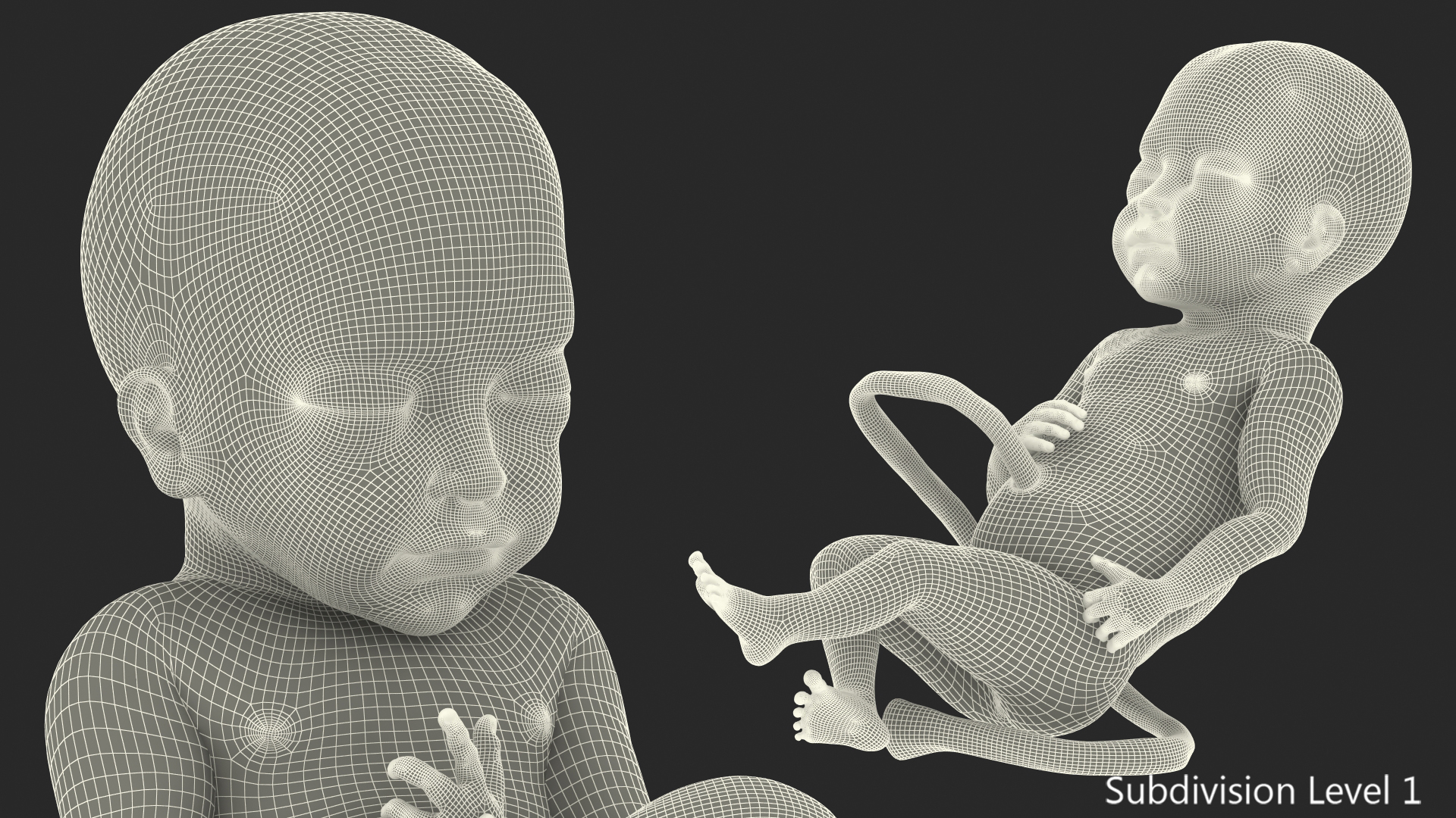 Baby Boy at 28 Weeks Rigged 3D