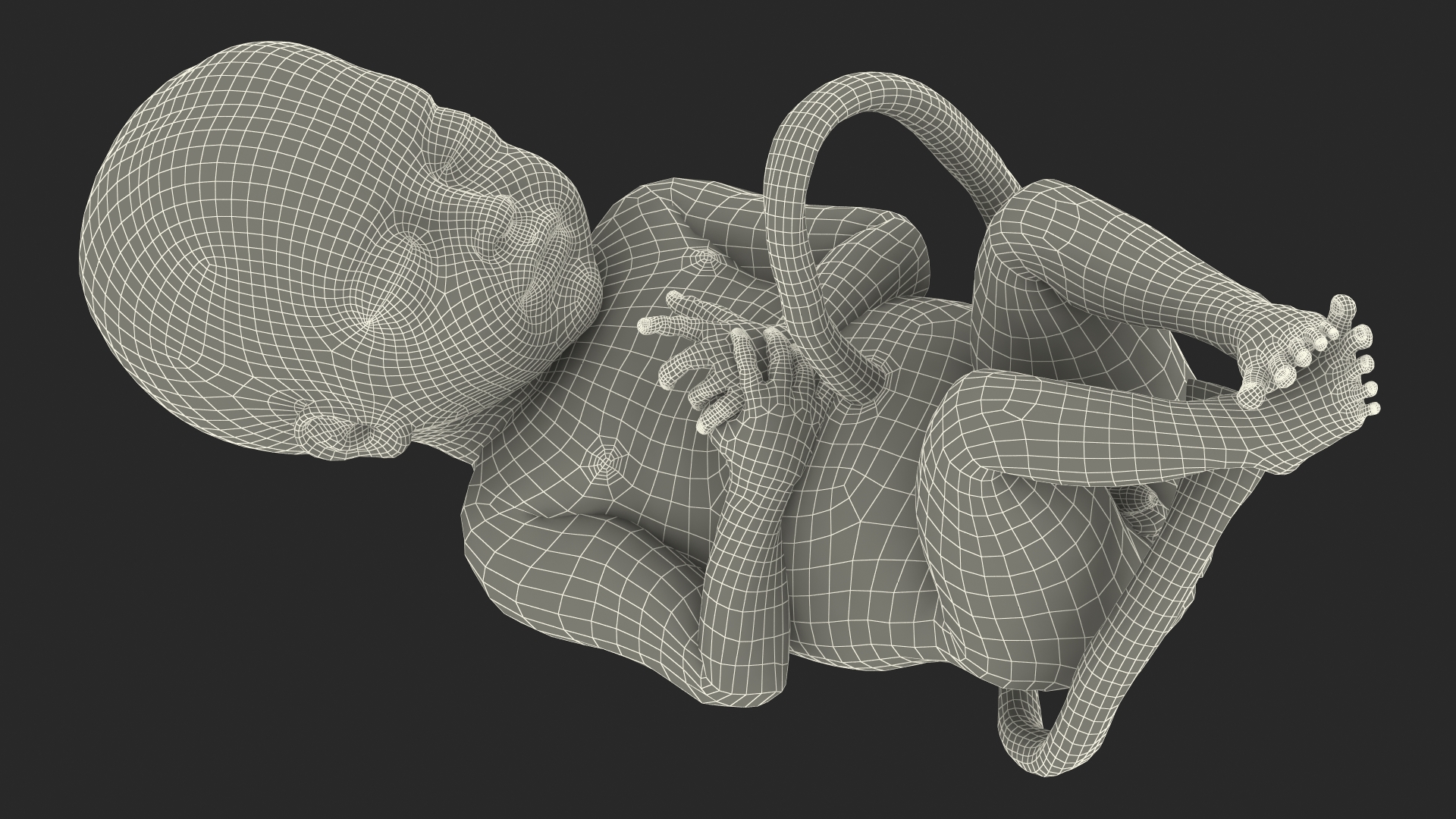 Baby Boy at 28 Weeks Rigged 3D