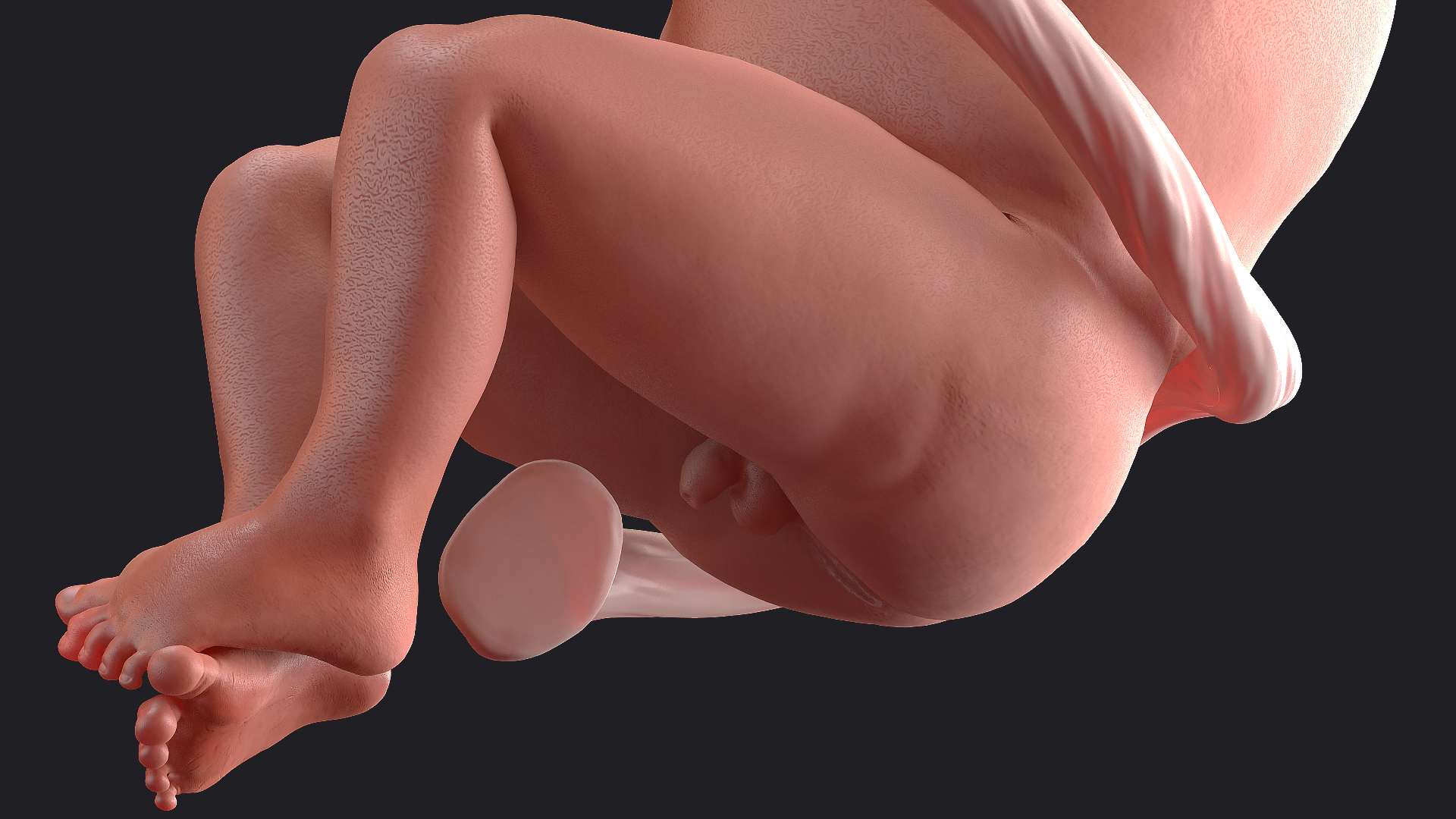 Baby Boy at 28 Weeks Rigged 3D