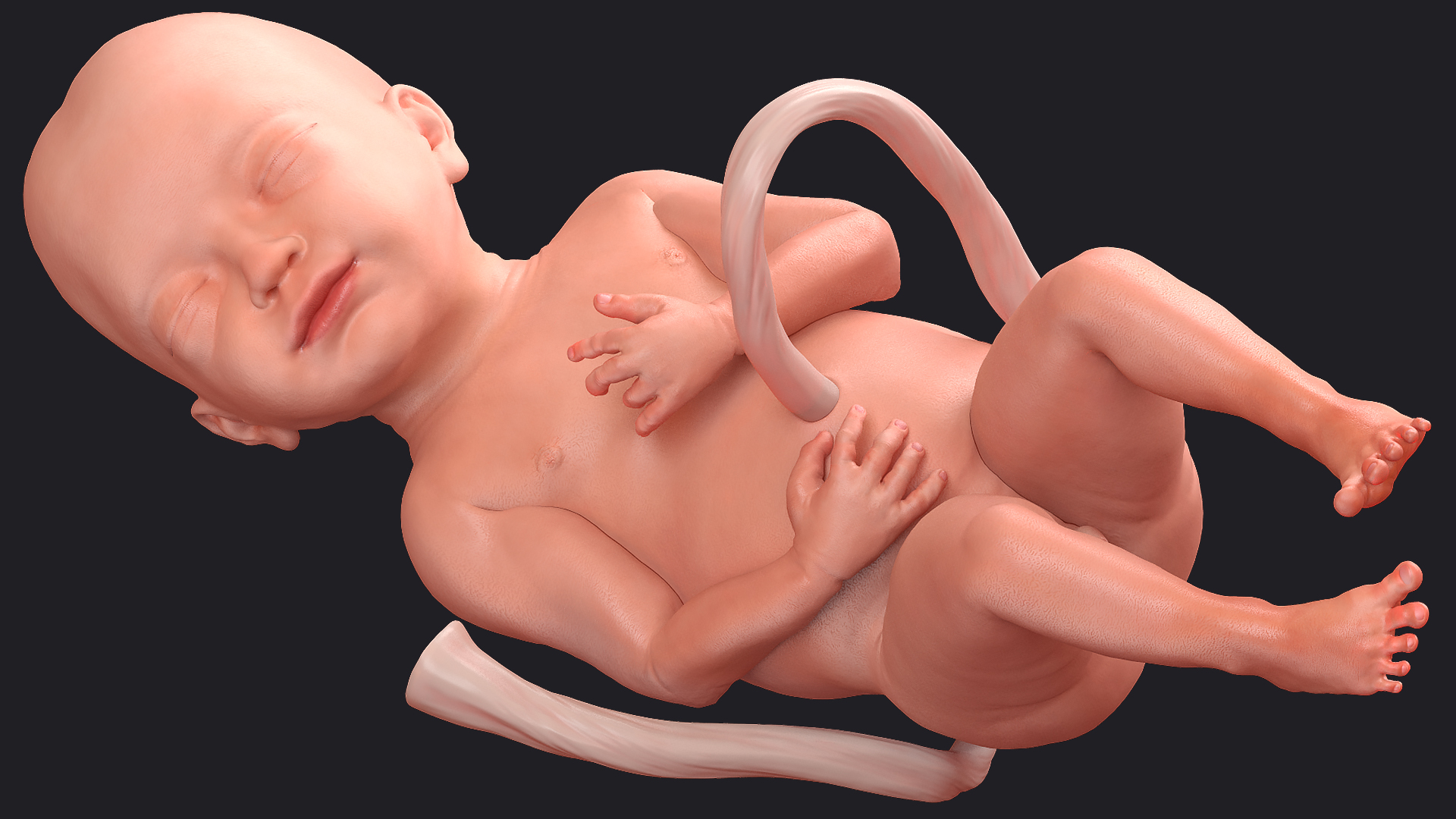 Baby Boy at 28 Weeks Rigged 3D