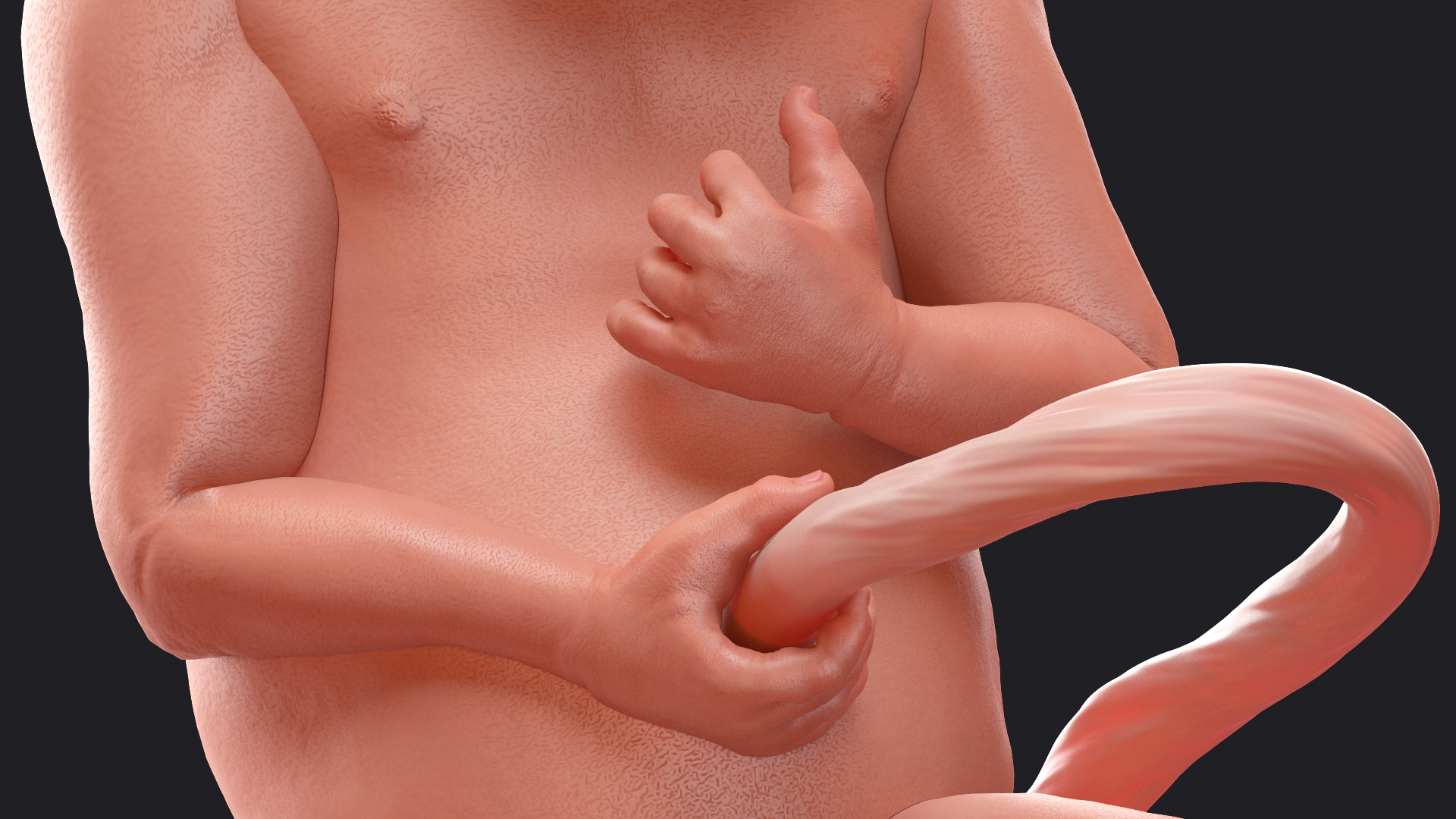 Baby Boy at 28 Weeks Rigged 3D