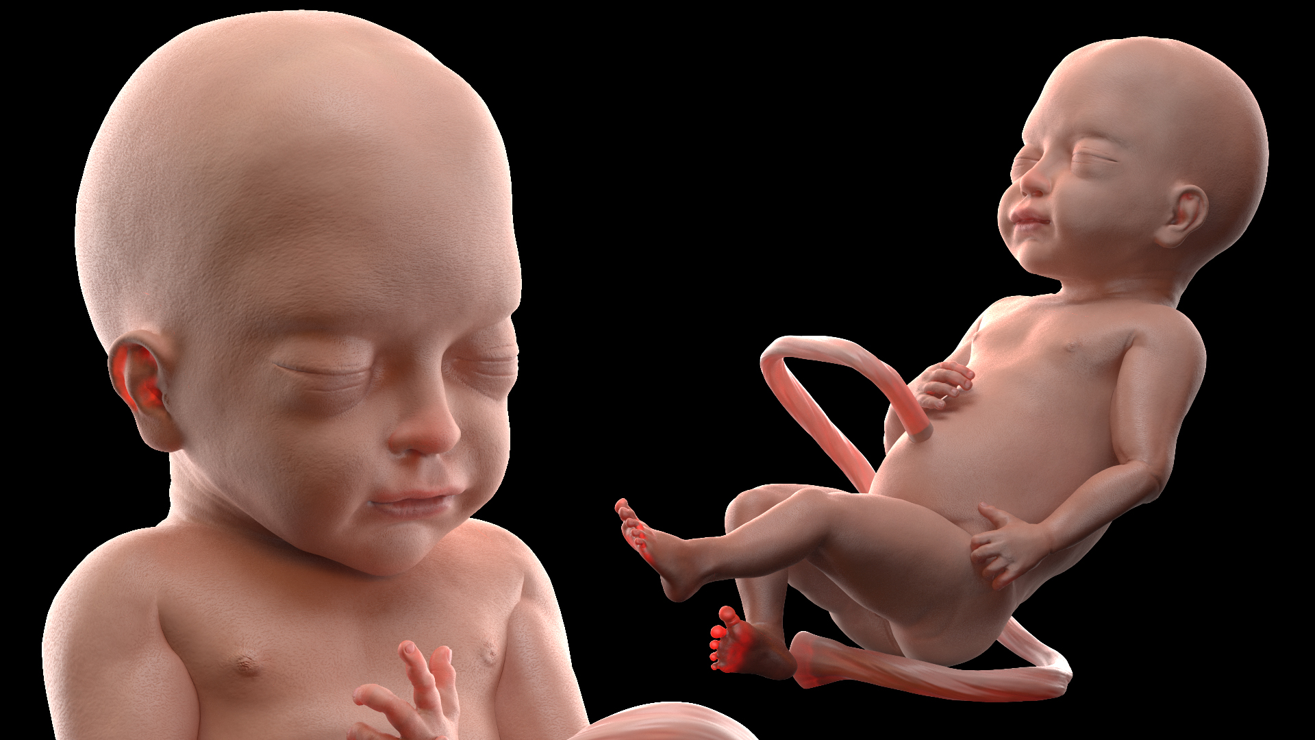 Baby Boy at 28 Weeks Rigged 3D