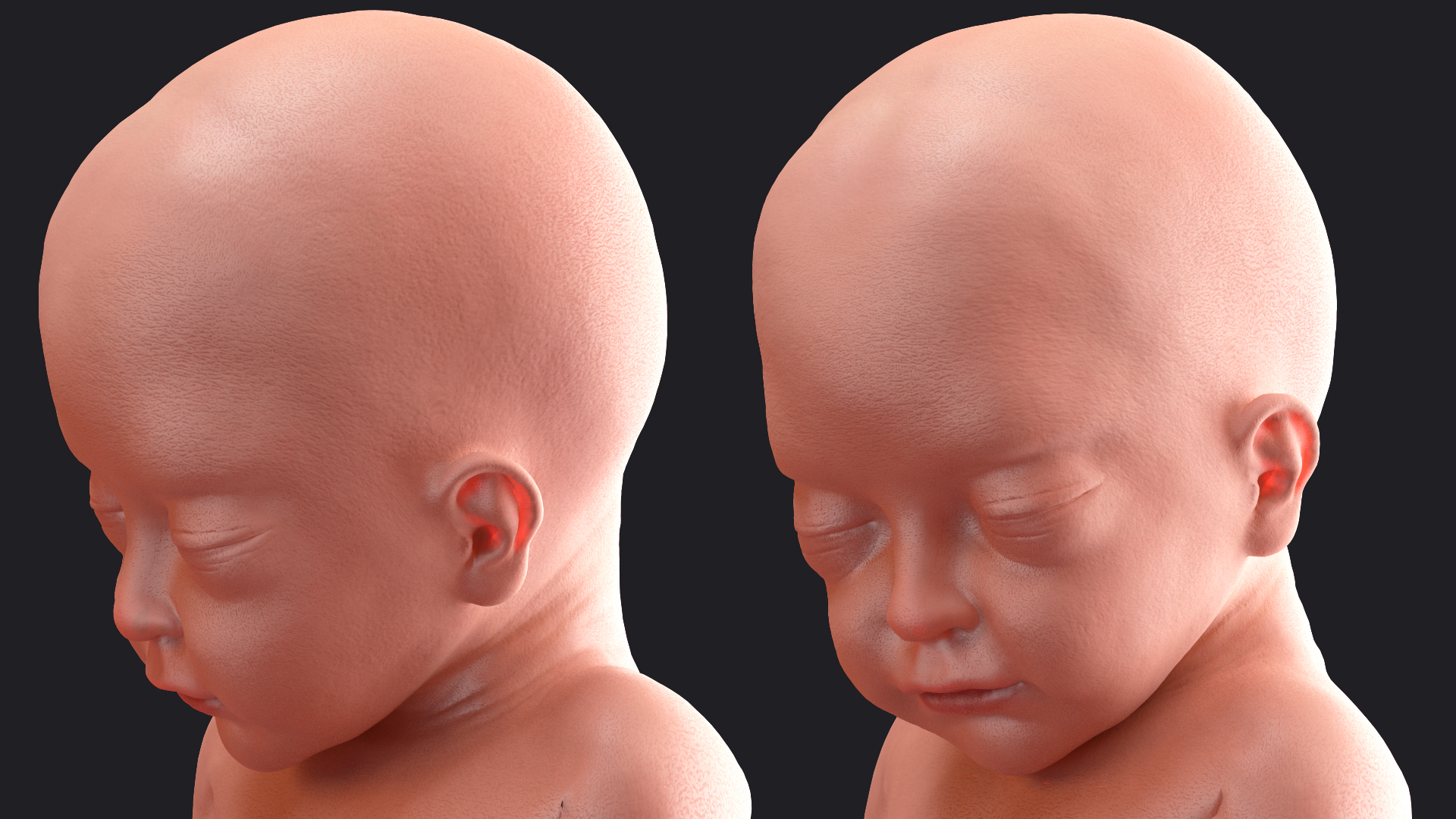Baby Boy at 28 Weeks Rigged 3D