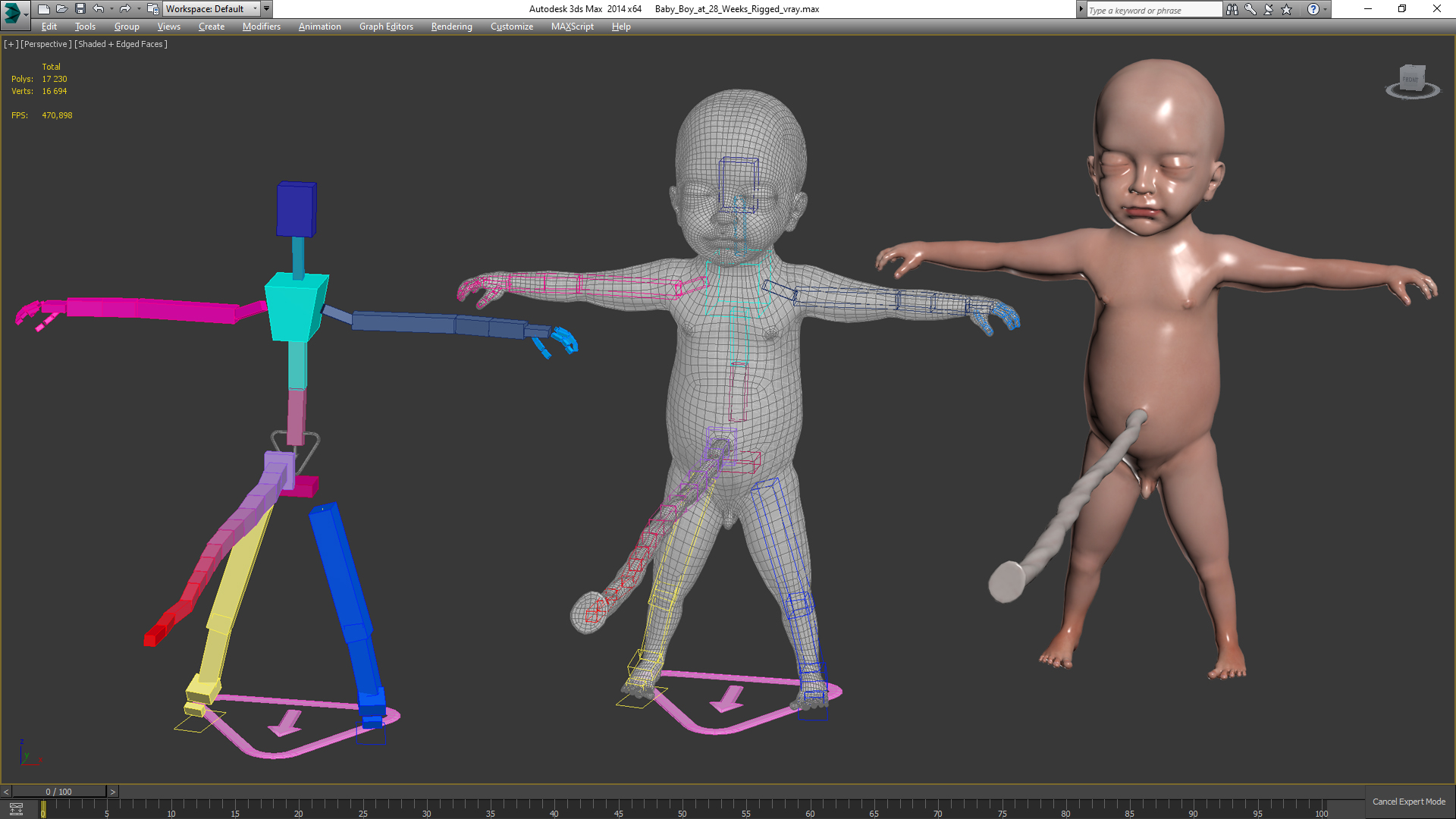Baby Boy at 28 Weeks Rigged 3D