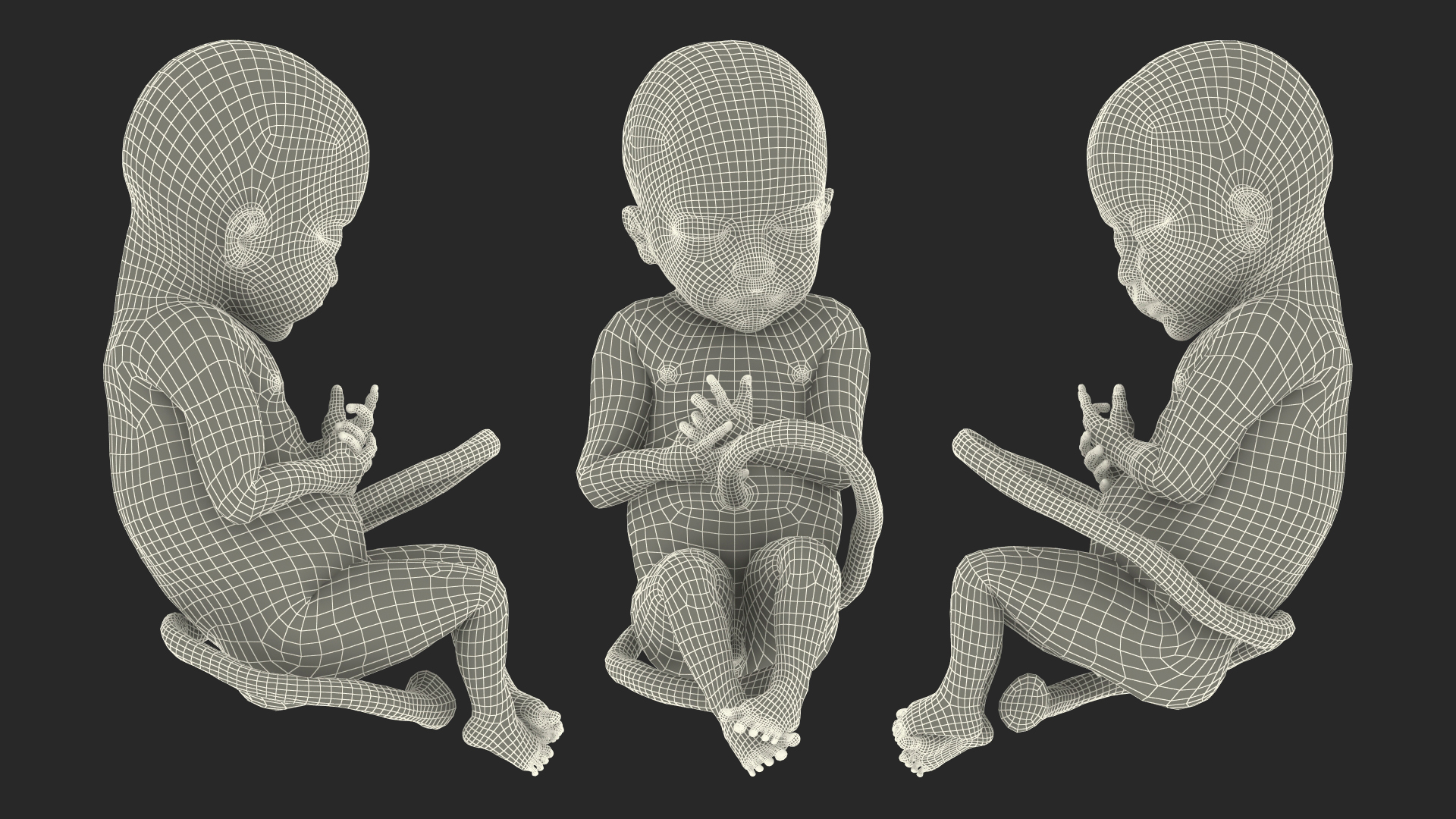 Baby Boy at 28 Weeks Rigged 3D