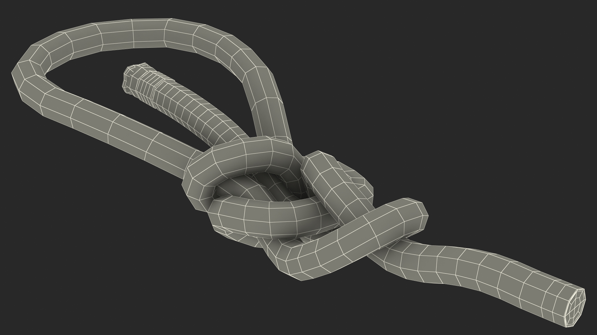 3D Water Bowline Knot model