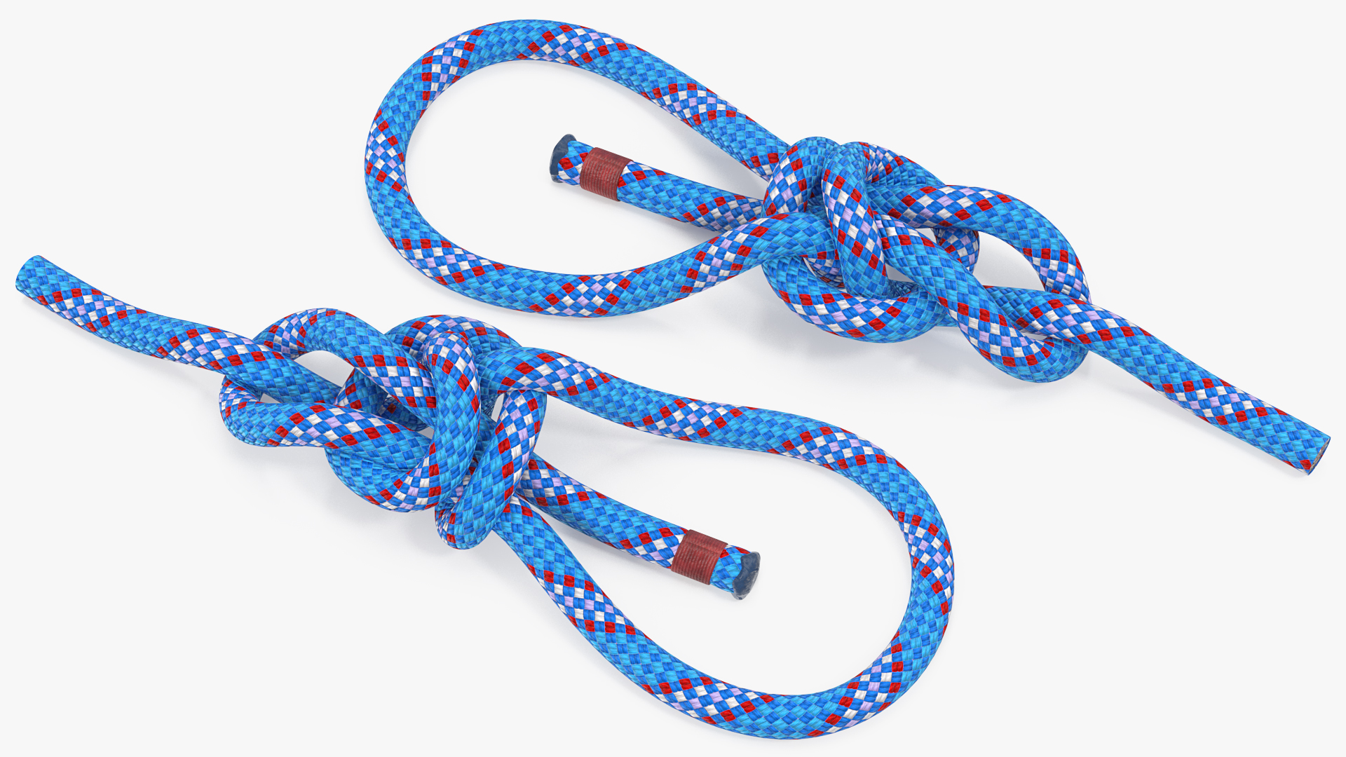 3D Water Bowline Knot model
