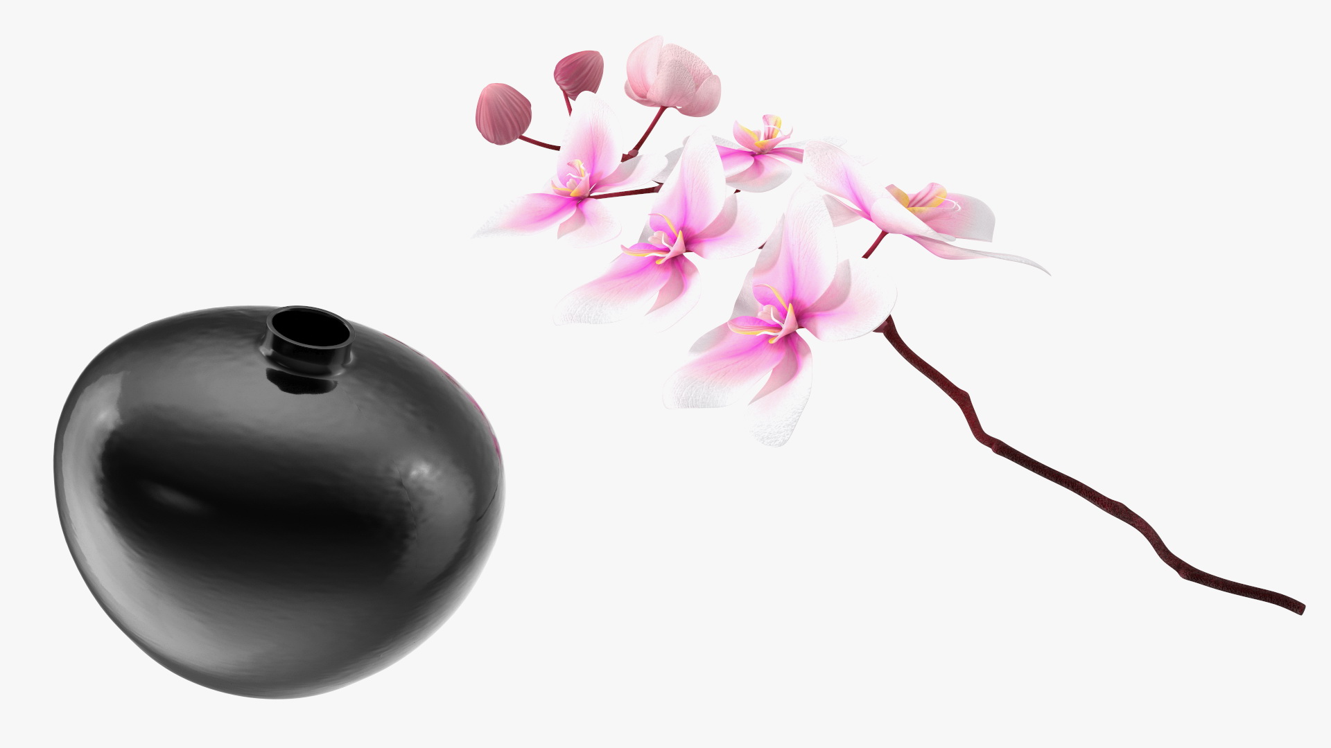 3D Orchid Stem and Black Vase