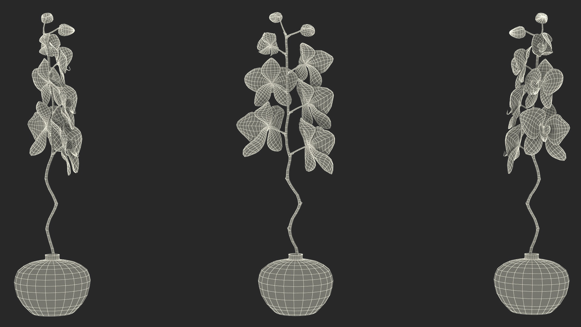 3D Orchid Stem and Black Vase