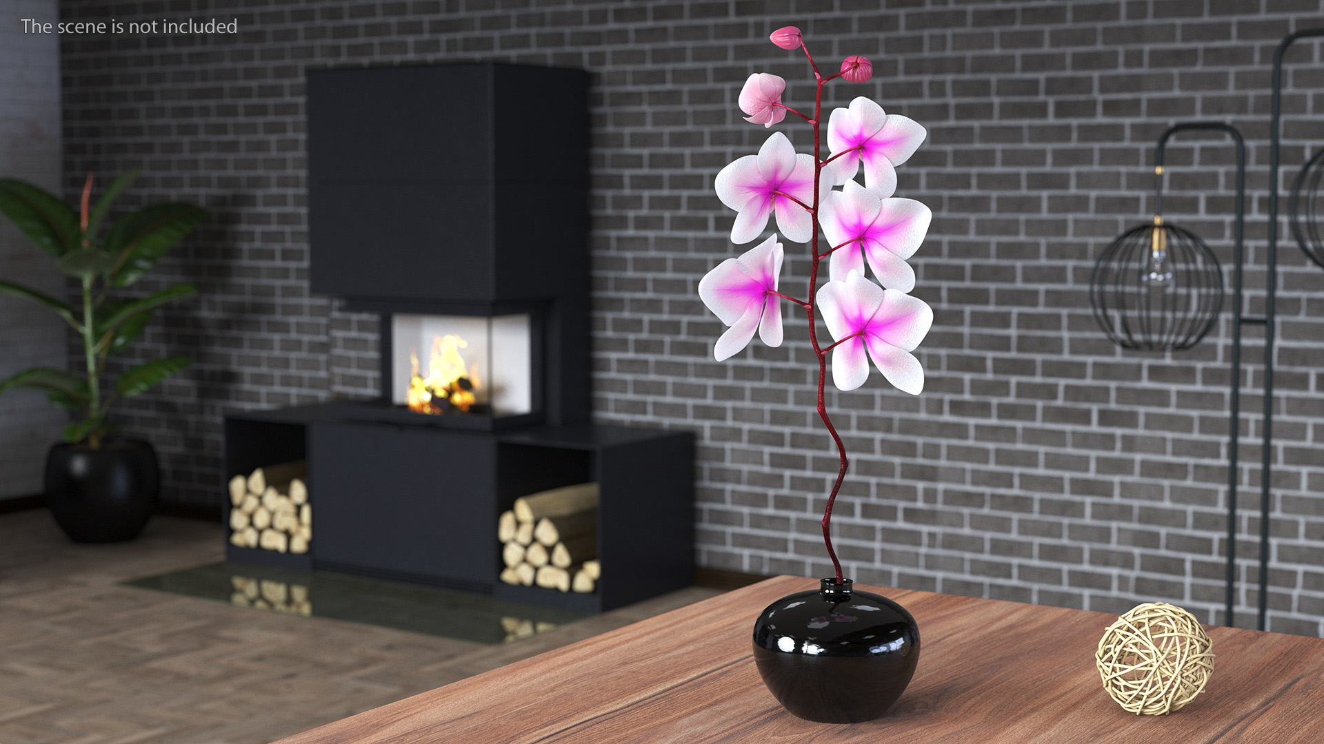 3D Orchid Stem and Black Vase