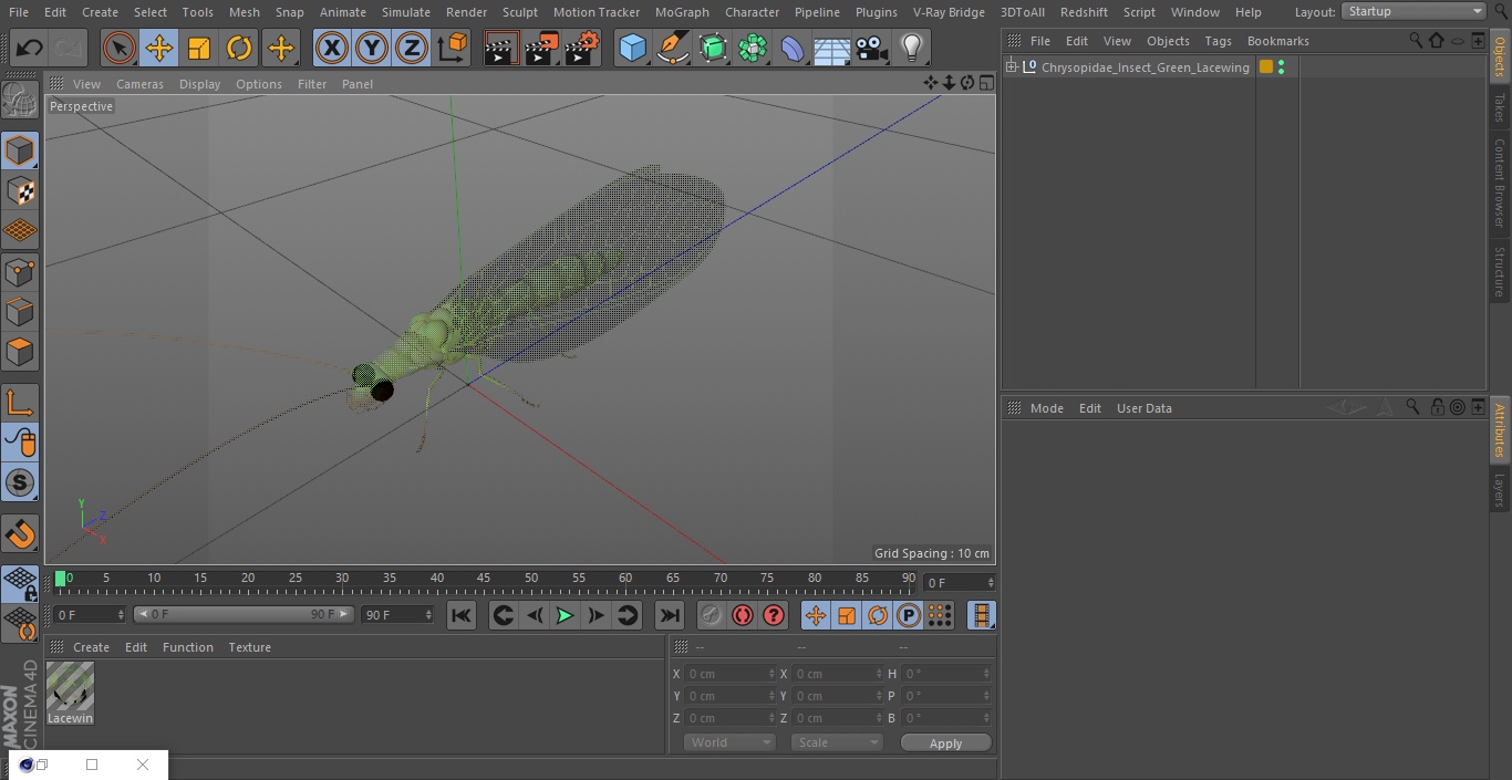 3D Chrysopidae Insect Green Lacewing model