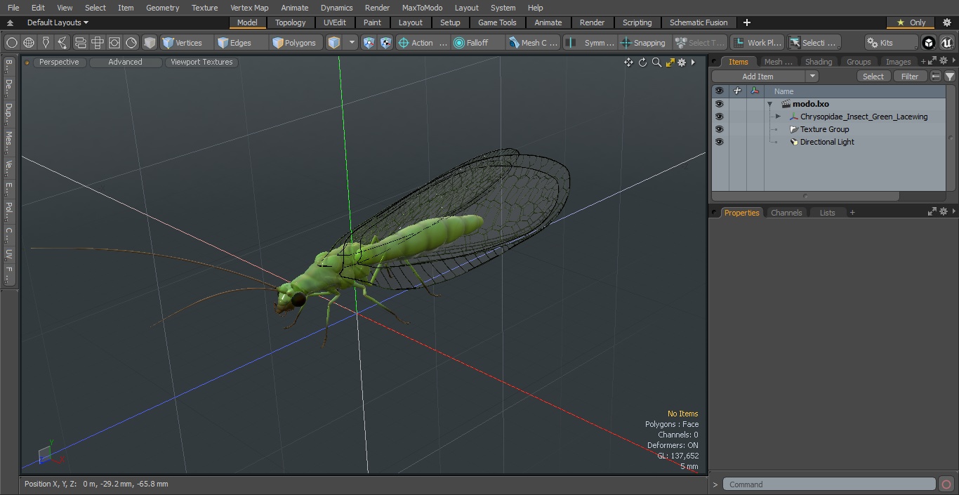 3D Chrysopidae Insect Green Lacewing model