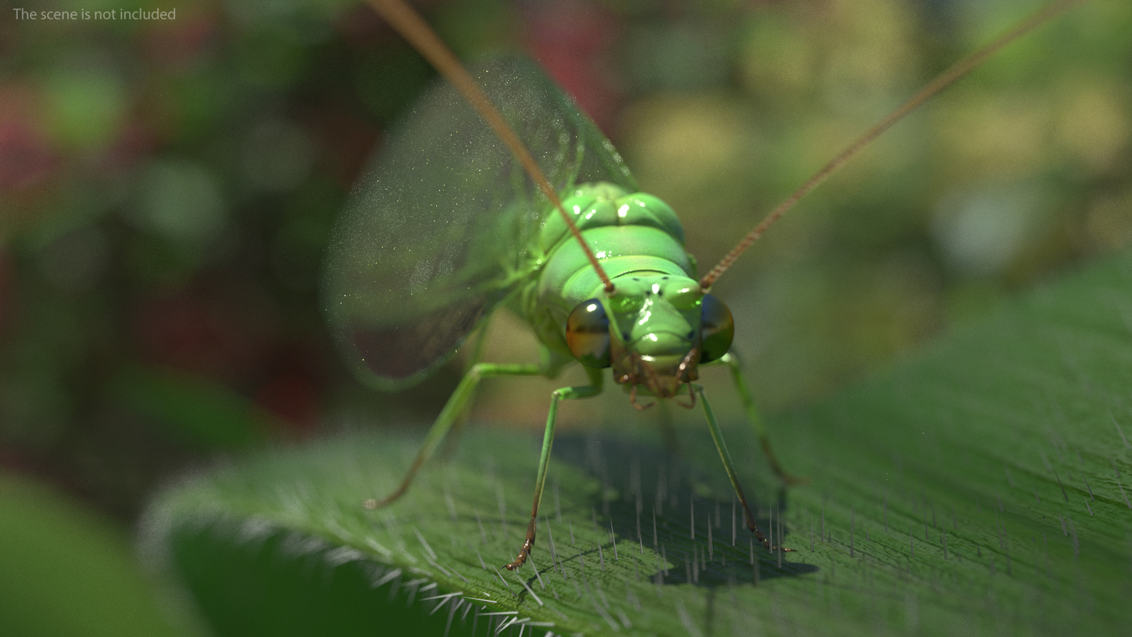 3D Chrysopidae Insect Green Lacewing model