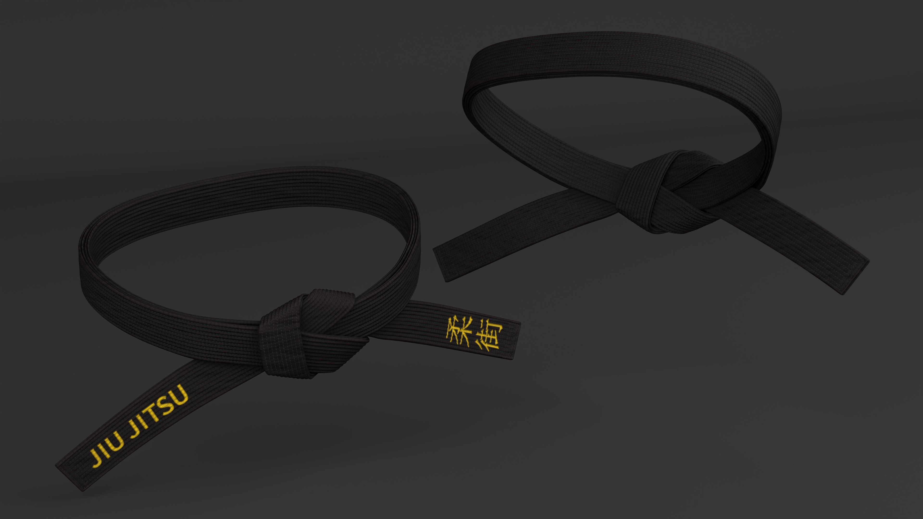 3D model Jiu Jitsu Black Waist Obi Belt