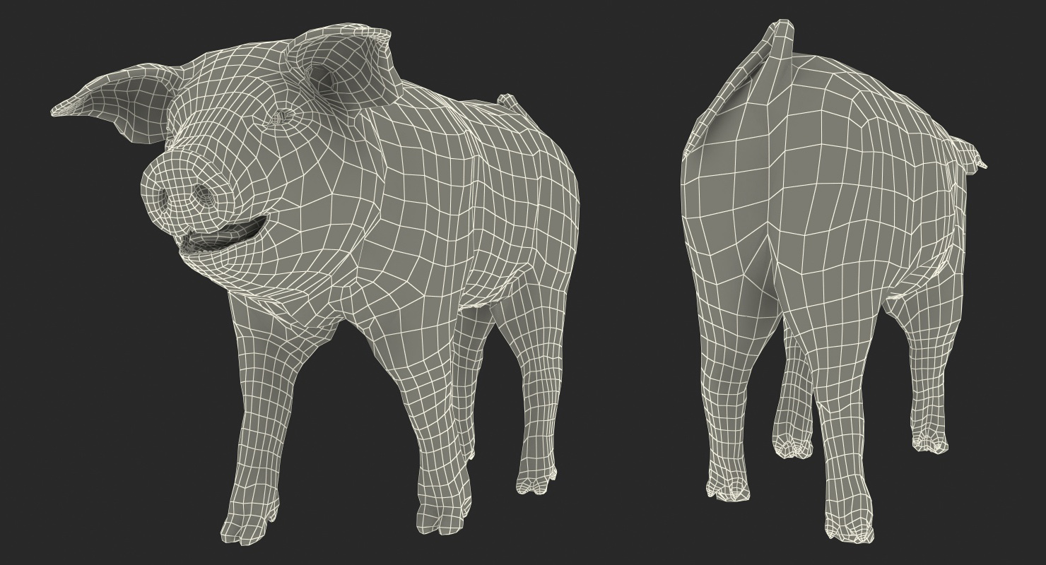 3D Pig Piglet Pietrain with Fur Walking Pose