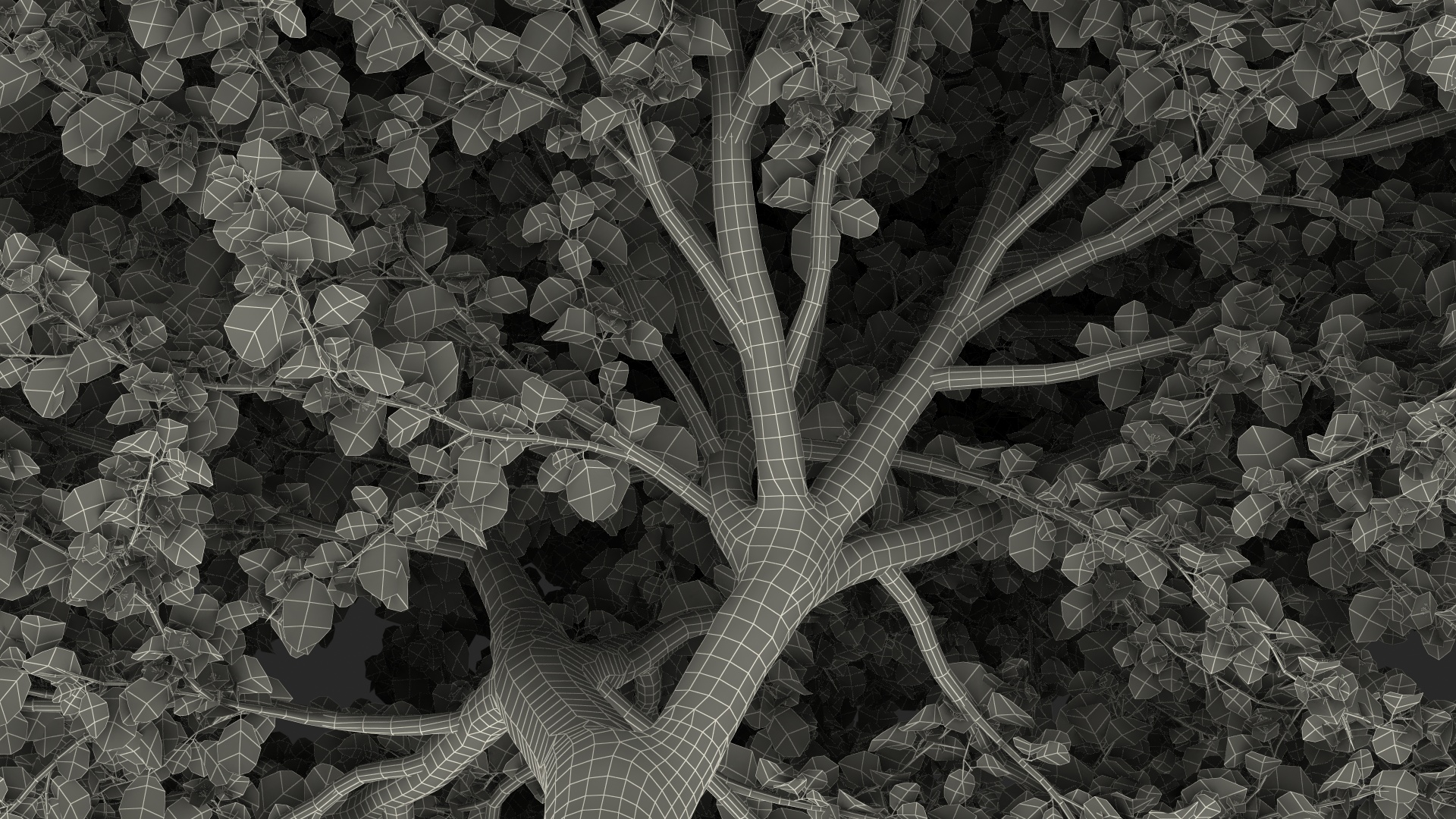 Cockspur Hawthorn with Flower 3D model