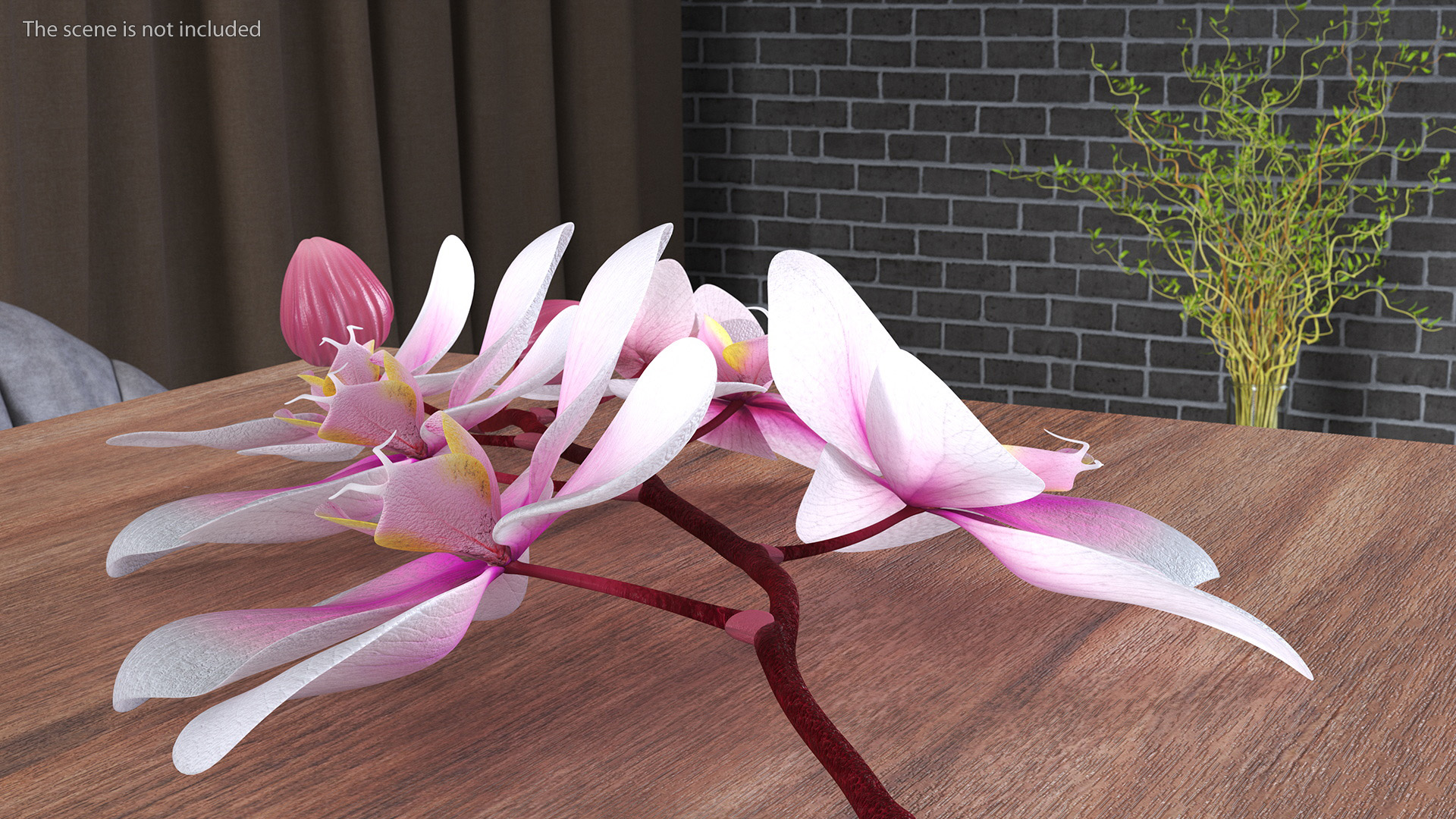 Small Orchid Stem 3D