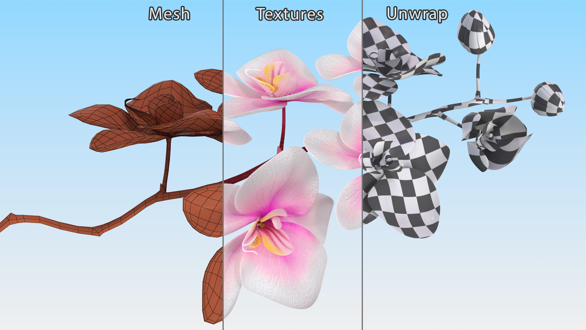 Small Orchid Stem 3D