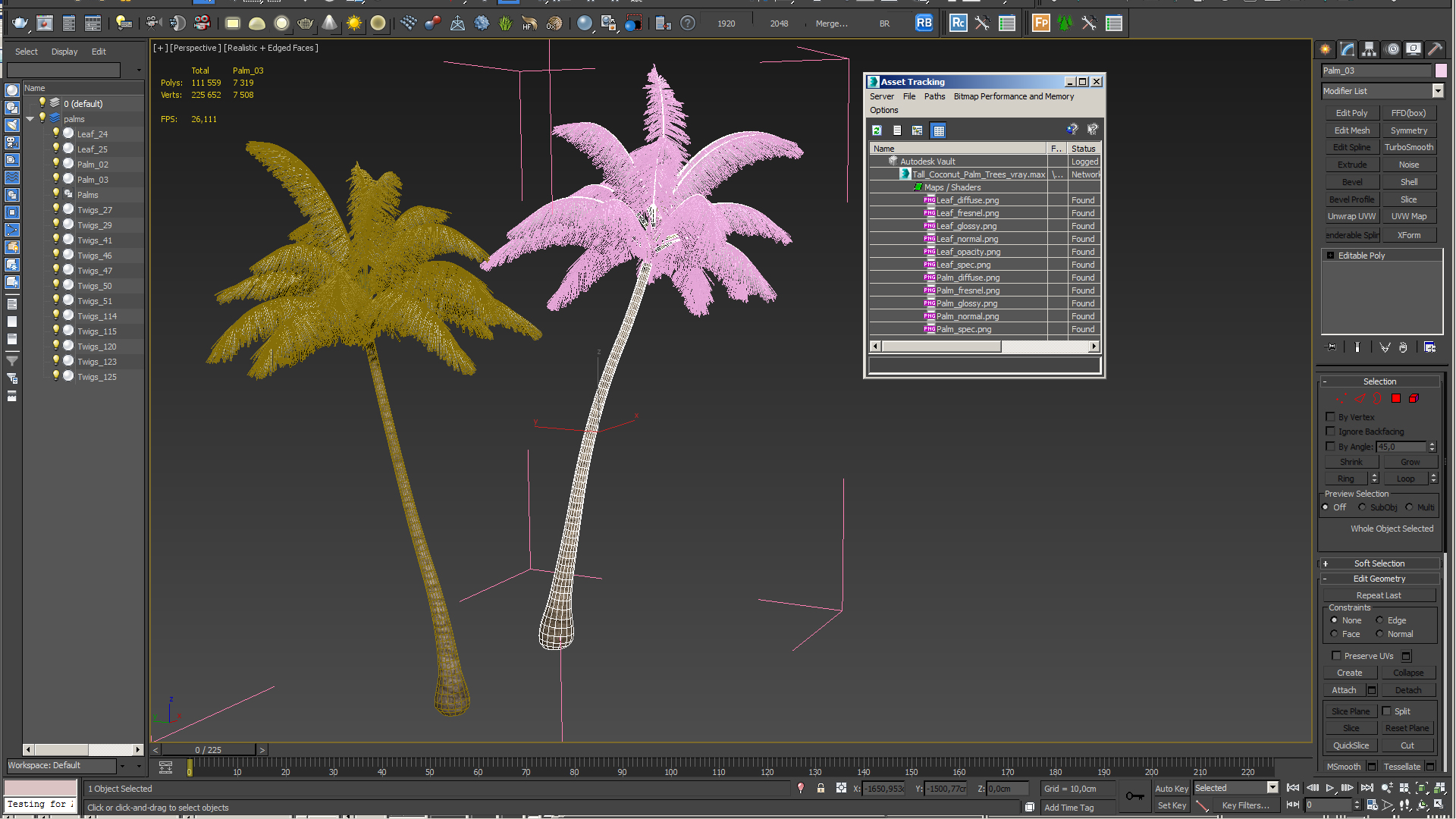 3D Tall Coconut Palm Trees model