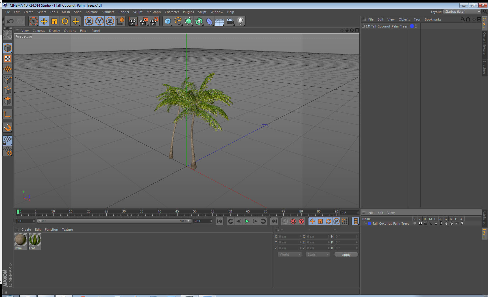 3D Tall Coconut Palm Trees model