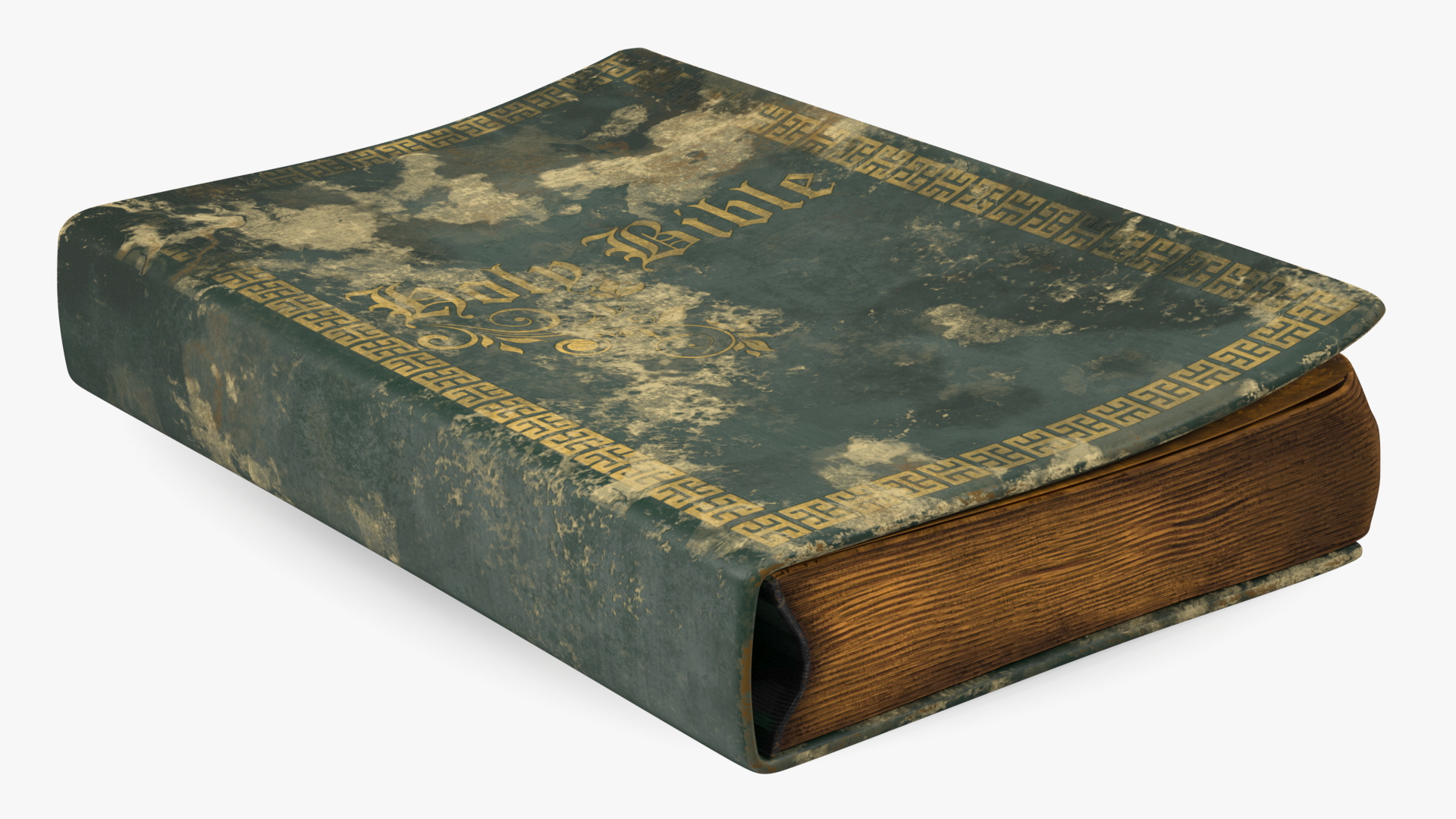 3D model Very Old Closed Book