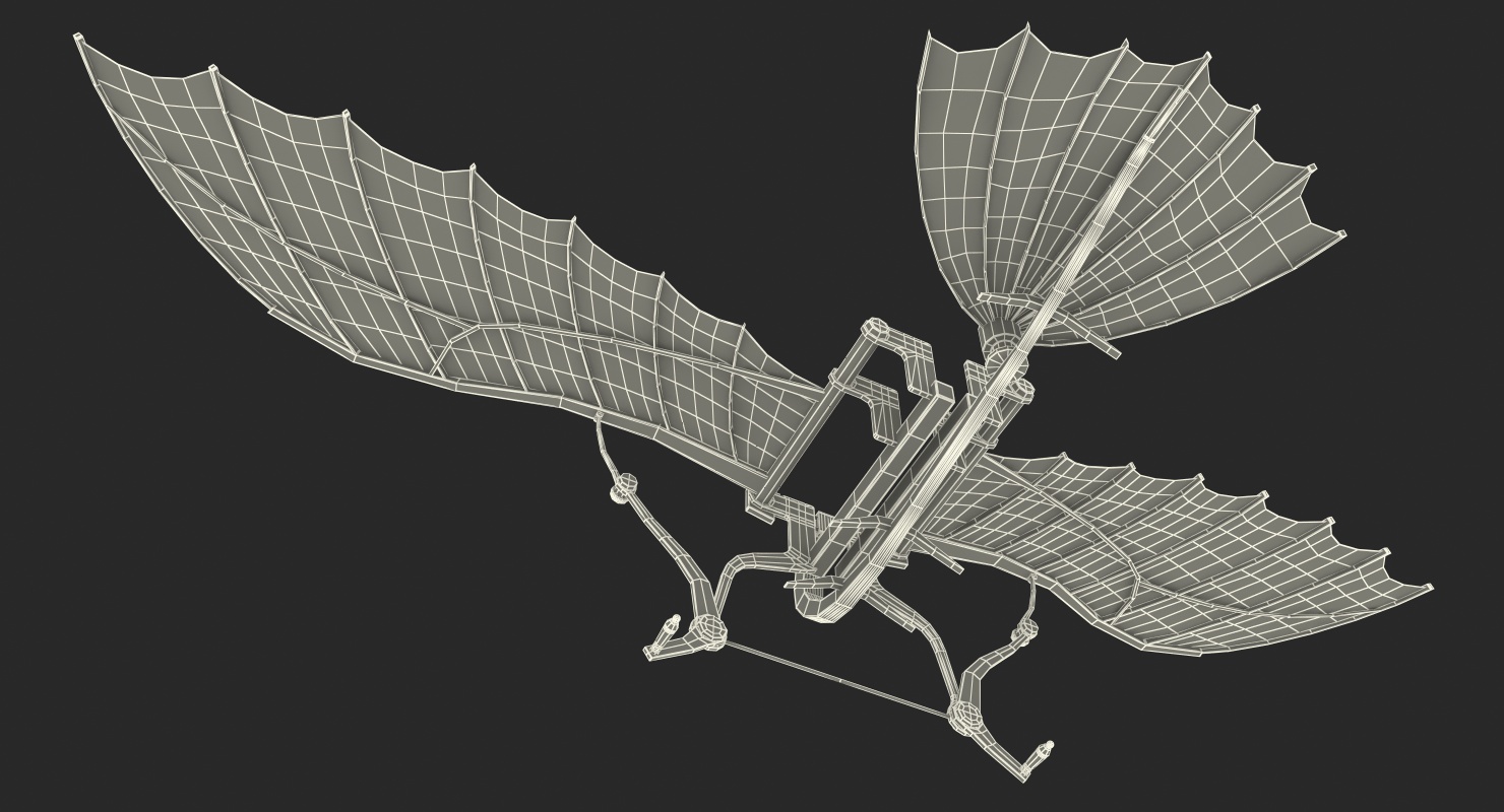 Leonardo Da Vinci Flying Machine 3D