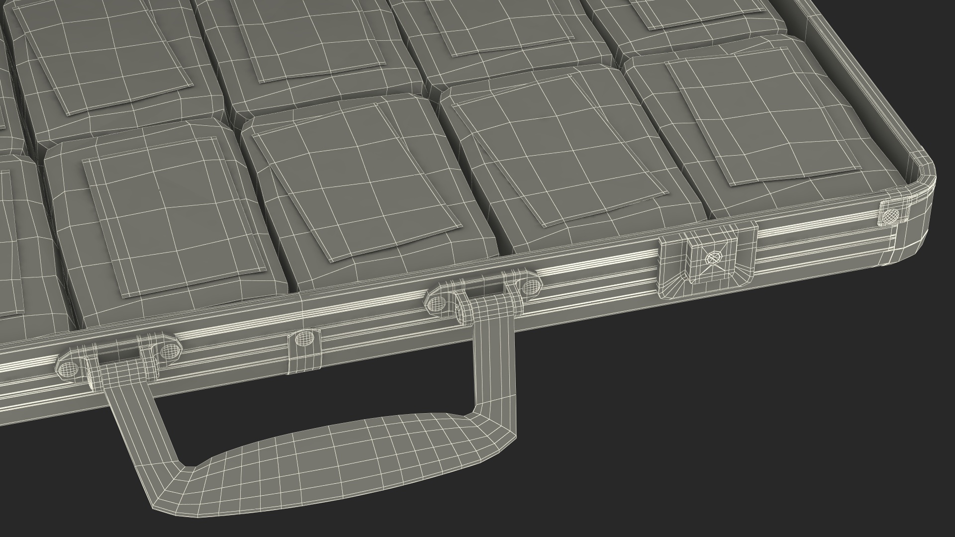 3D Packing Cocaine in Case model