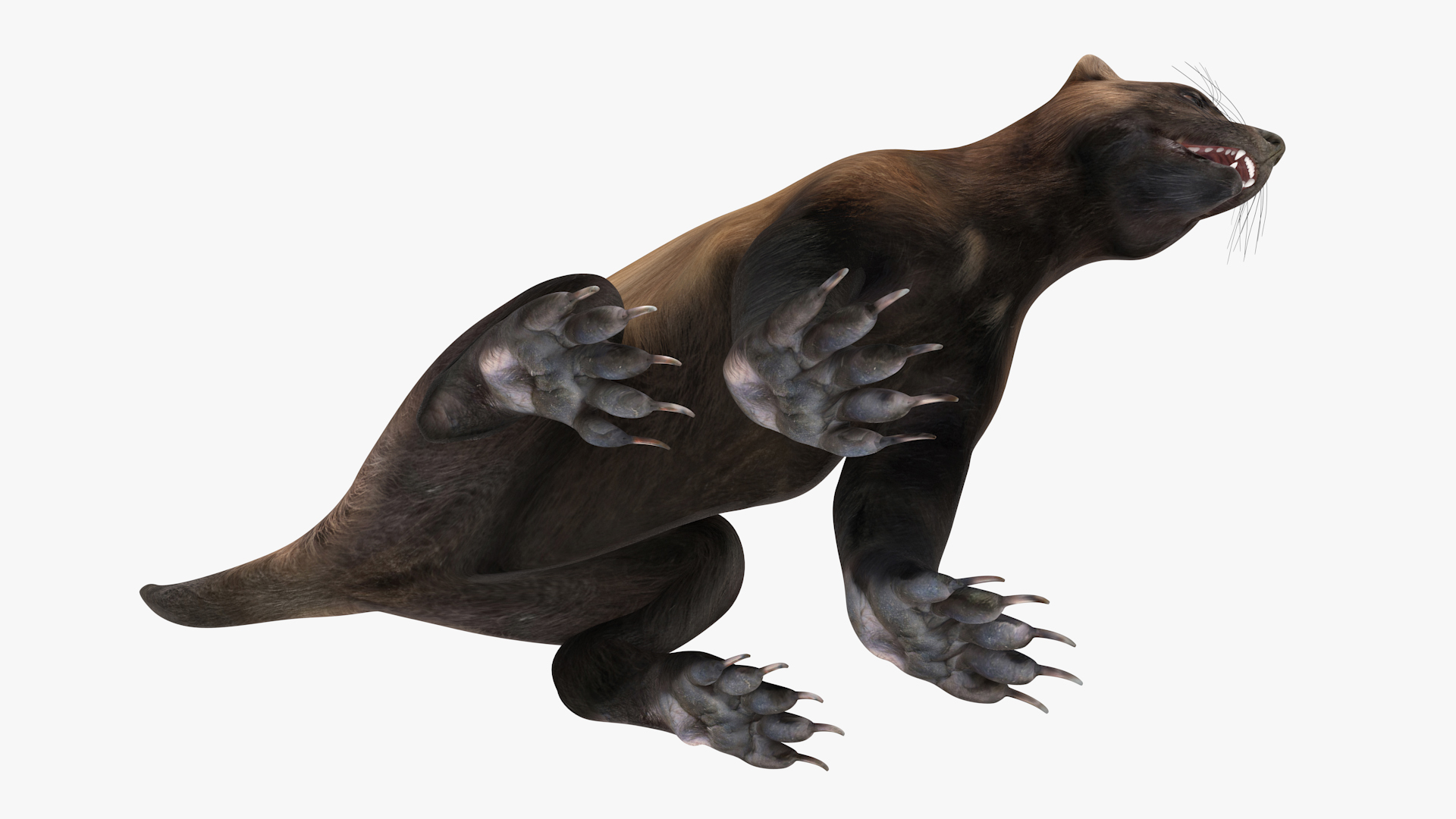 3D Wolverine Dark Color Sitting Pose model